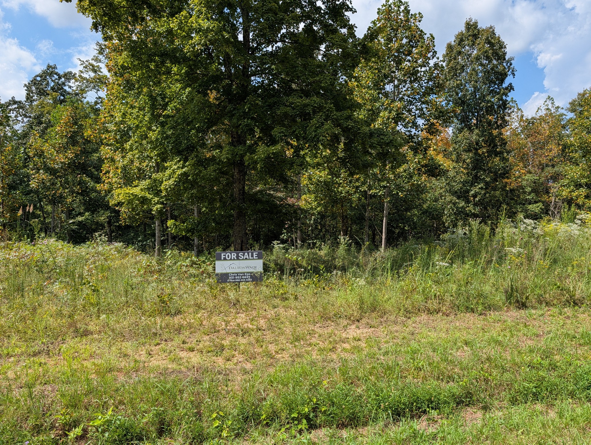 331 Ridgetop Rd Property Photo 8