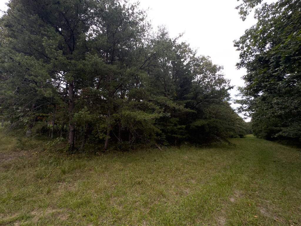 217 Westchester Dr Property Photo 3