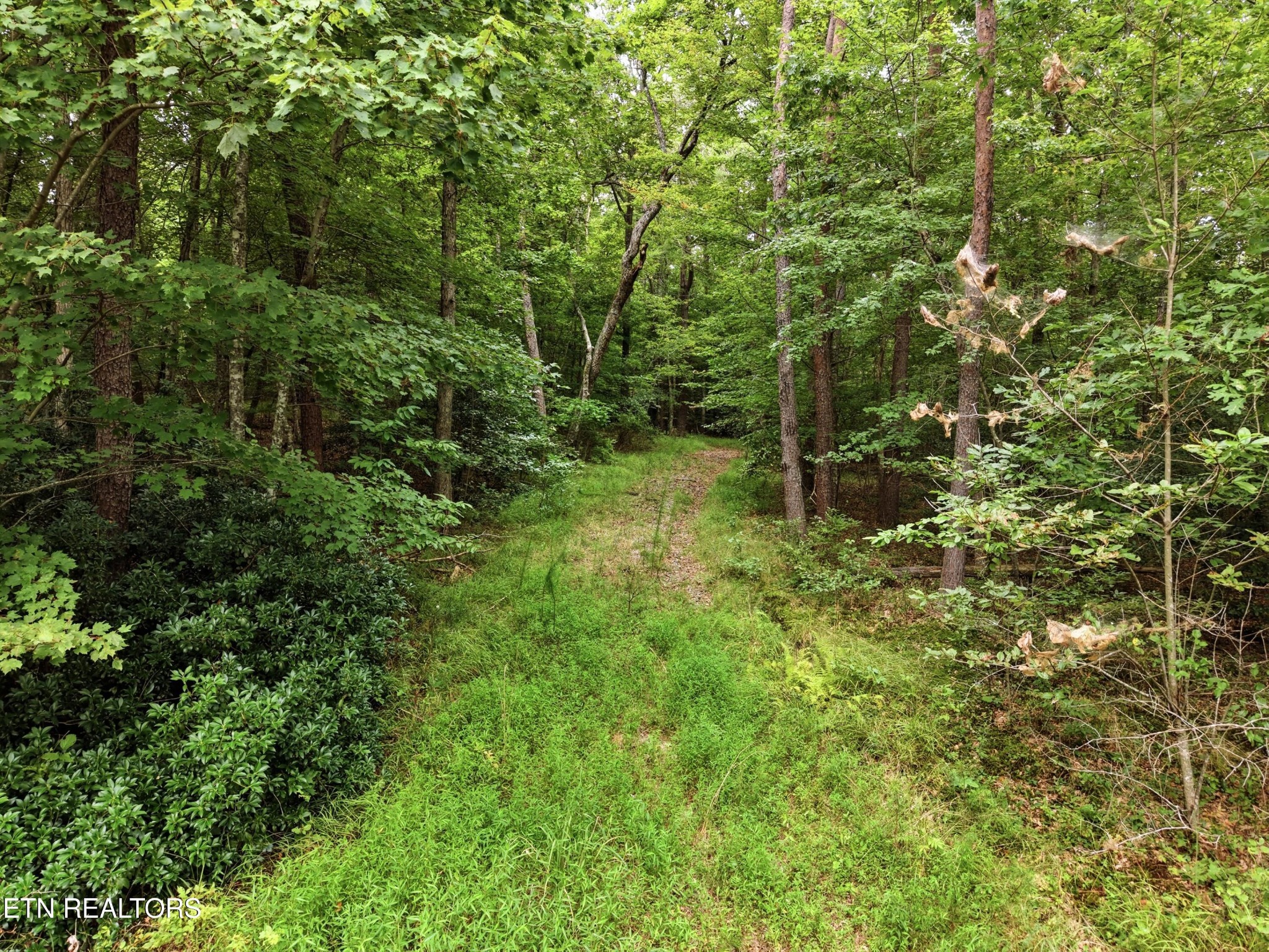 574 River Rd Property Photo 1