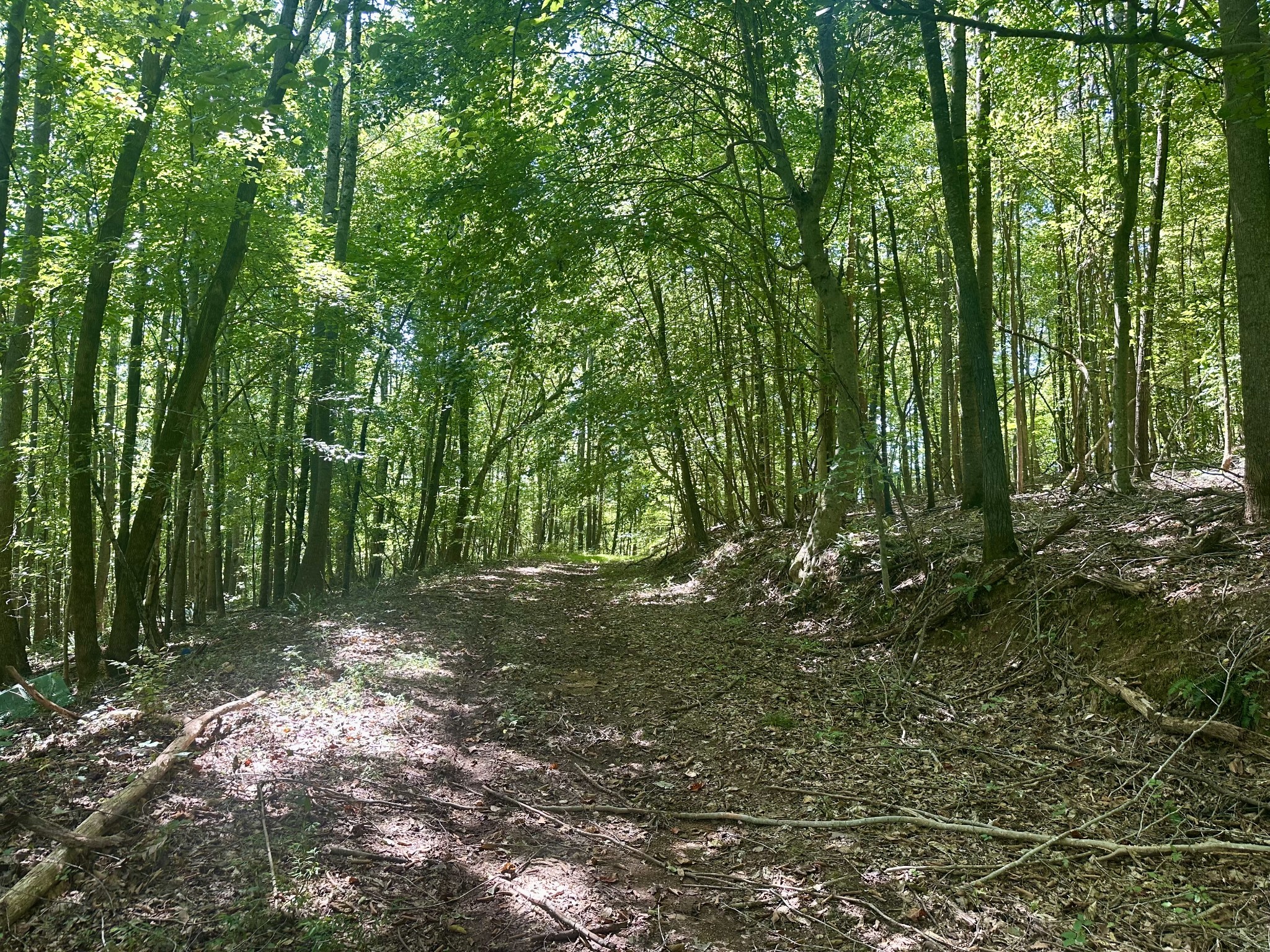 7721 Wayland Springs Rd Property Photo 1