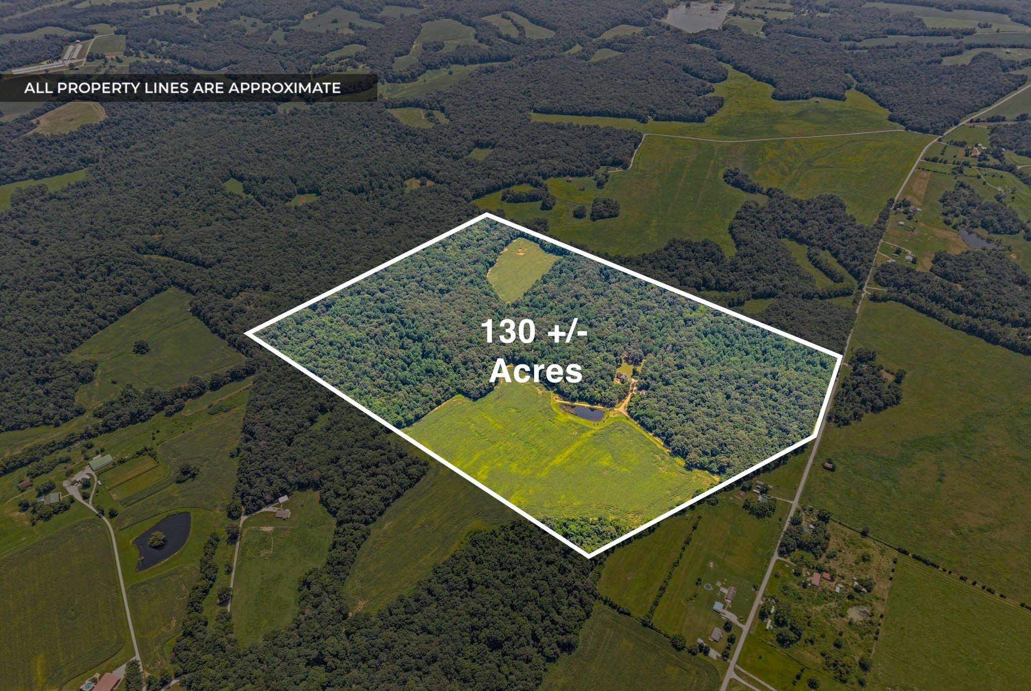 11544 Johnson Mill Rd Property Photo 7