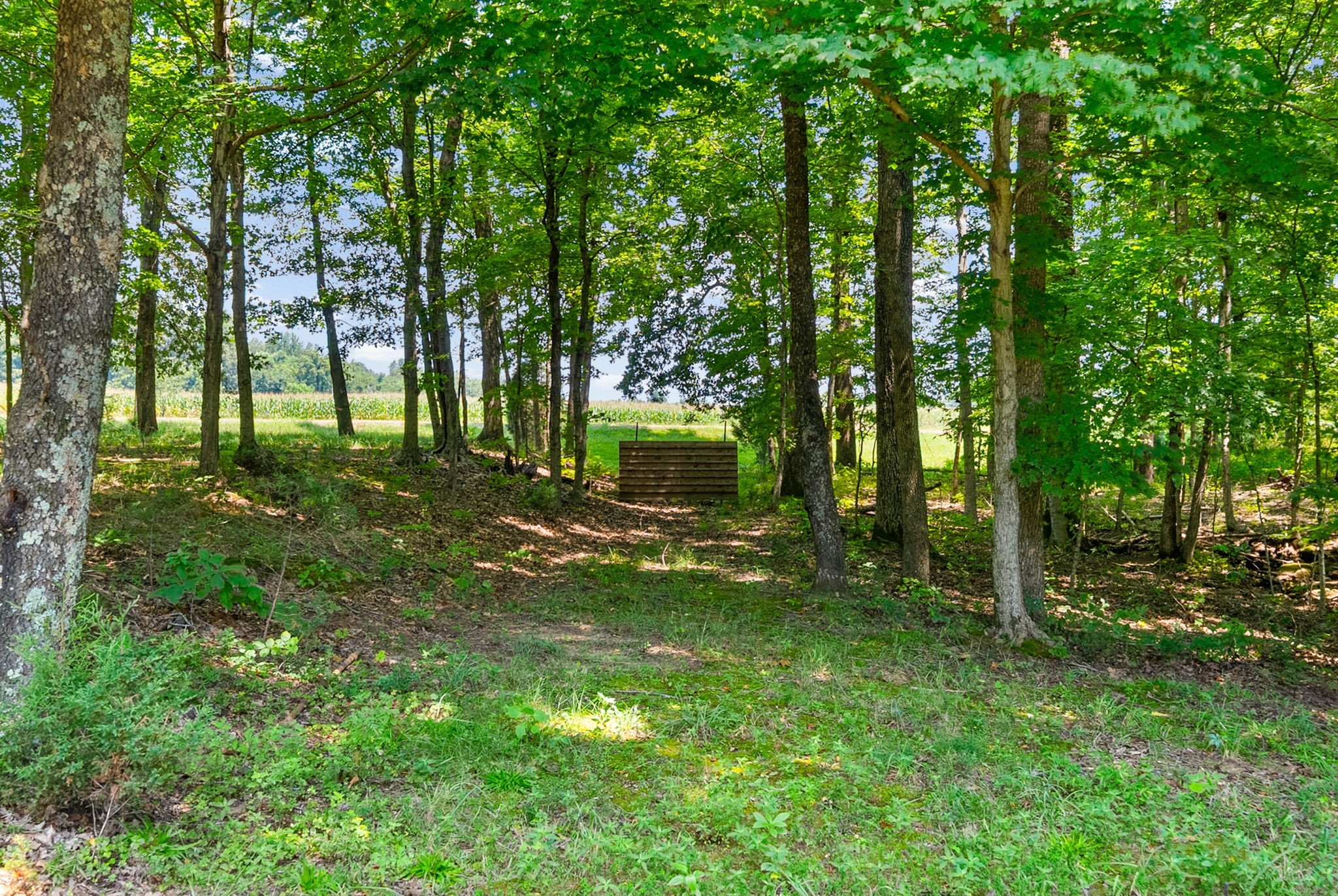 11544 Johnson Mill Rd Property Photo 85