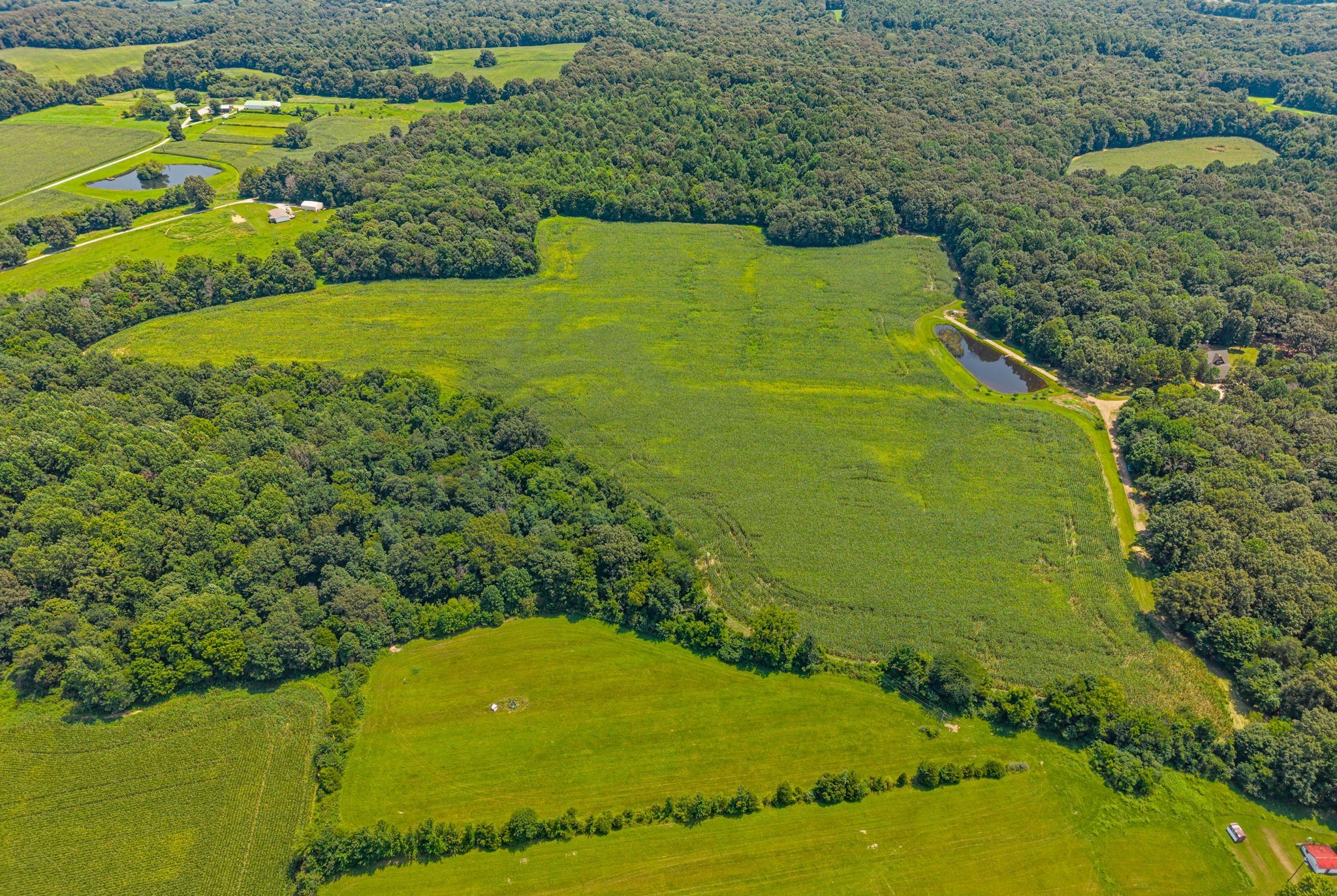11544 Johnson Mill Rd Property Photo 88