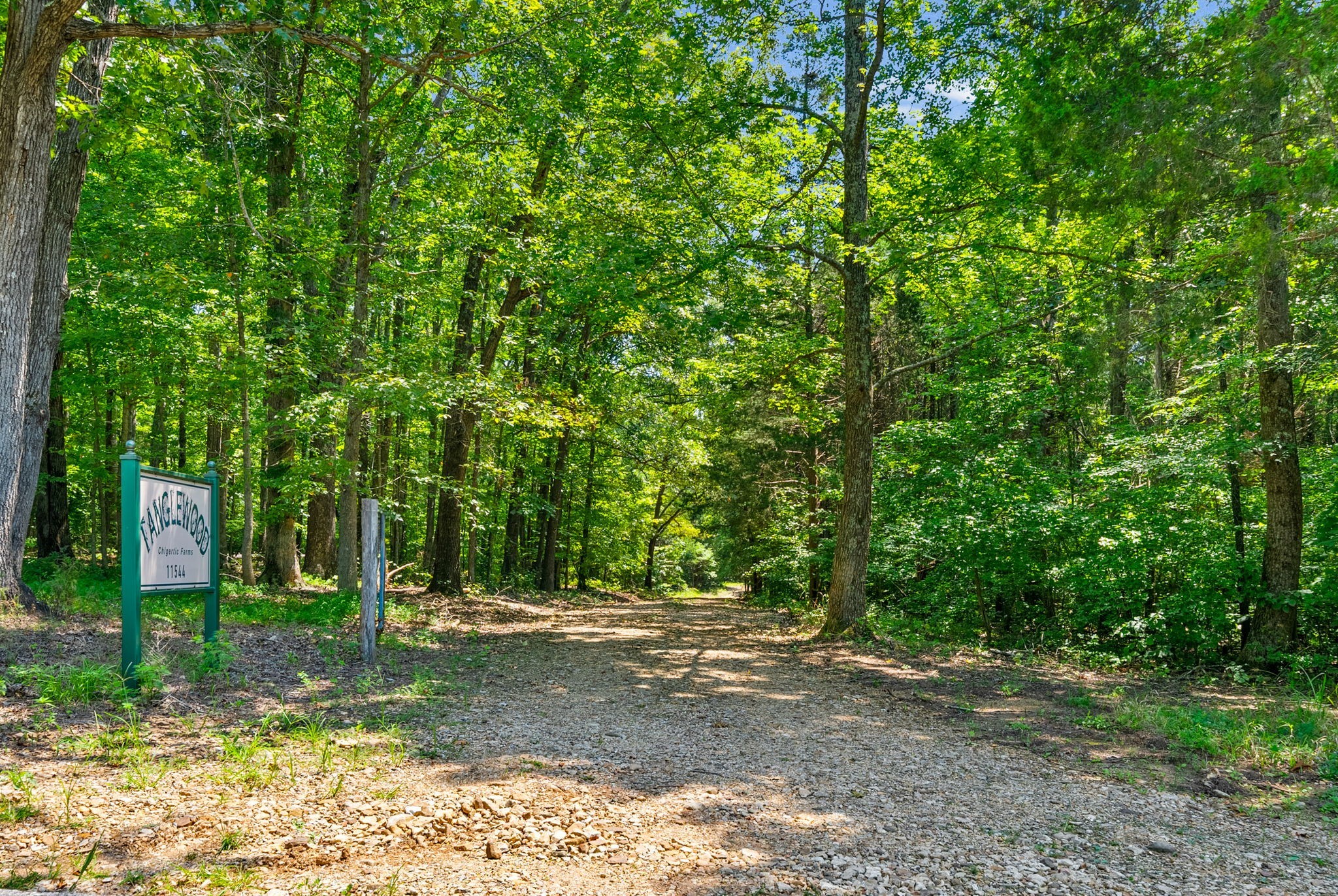 11544 Johnson Mill Rd Property Photo 89
