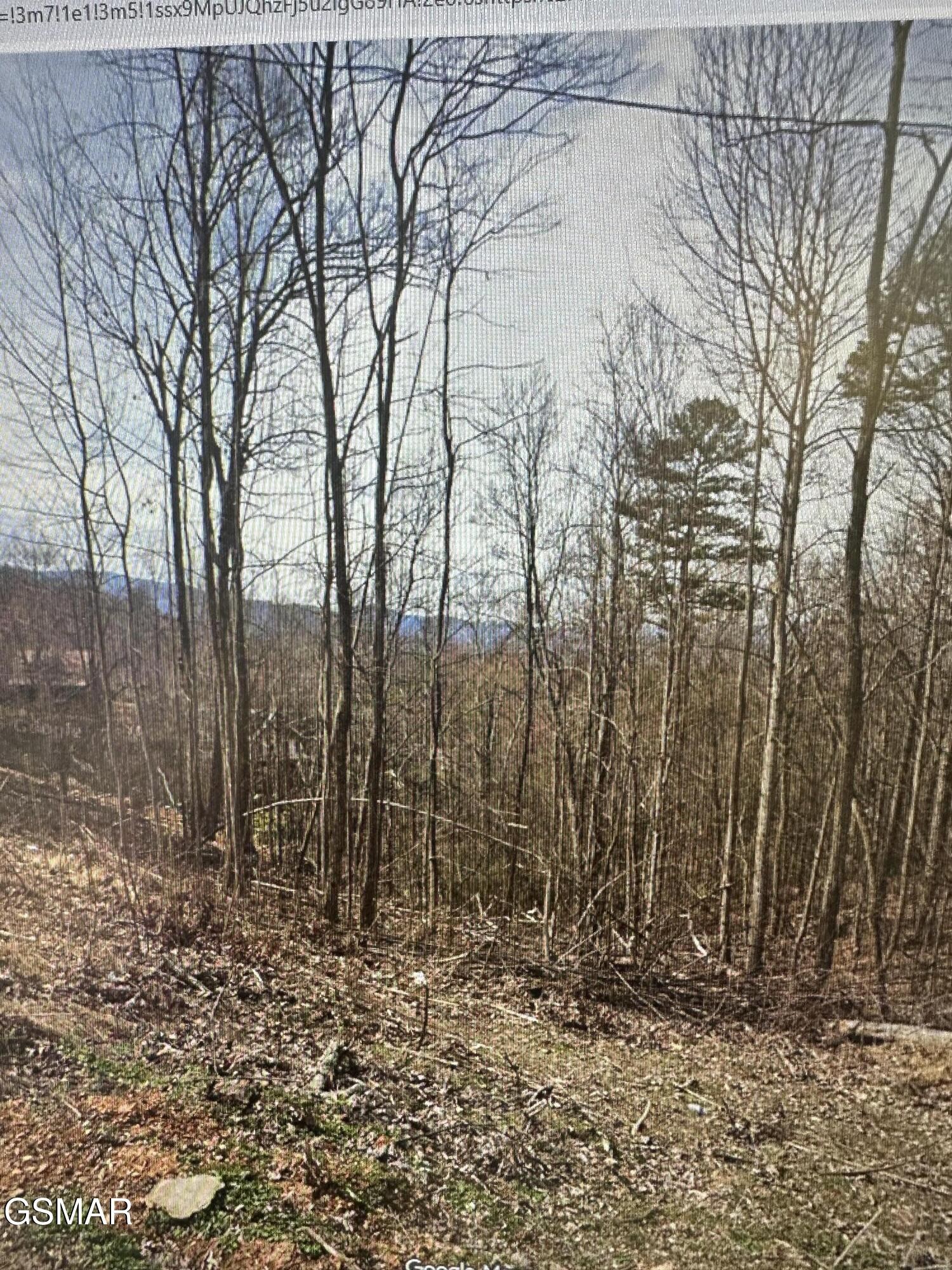1921 Battle Top Road Property Photo 1