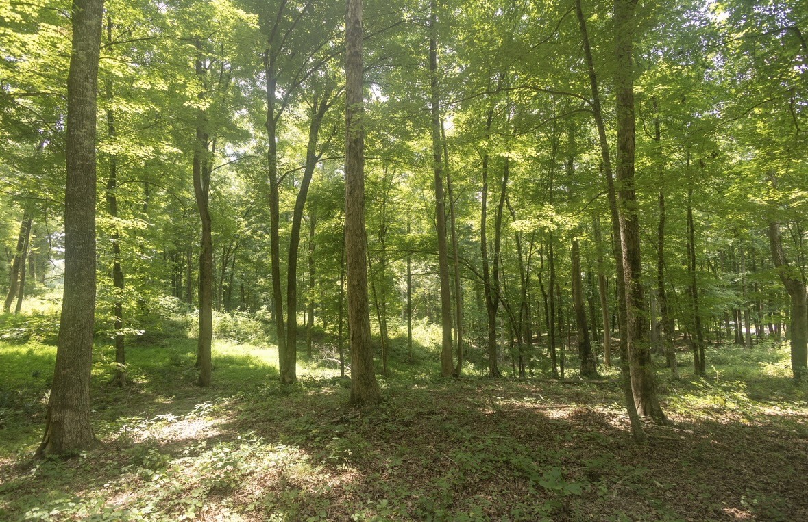 123 County Road 5 Property Photo 1