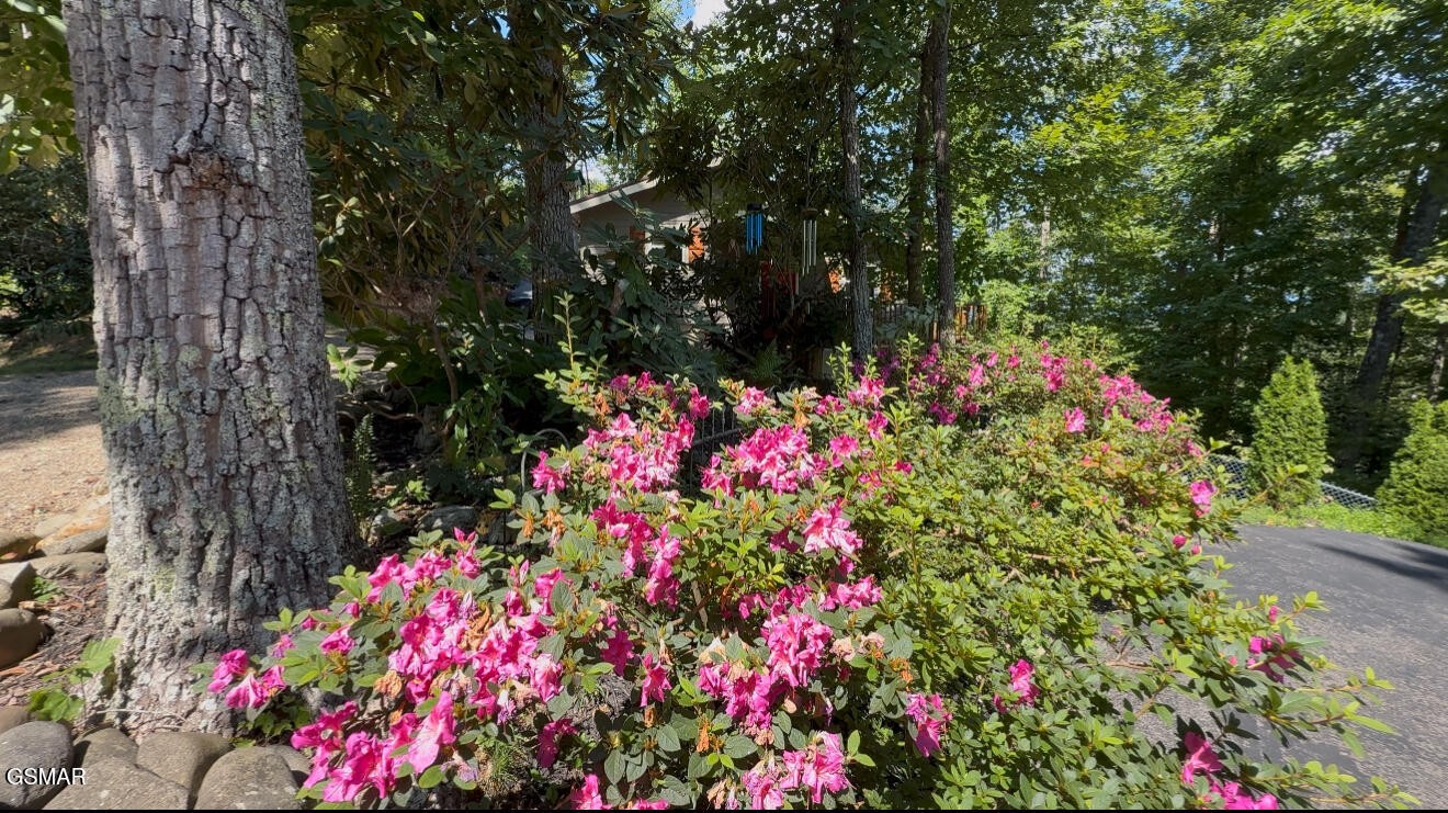 216 Zoder Drive Property Photo 35