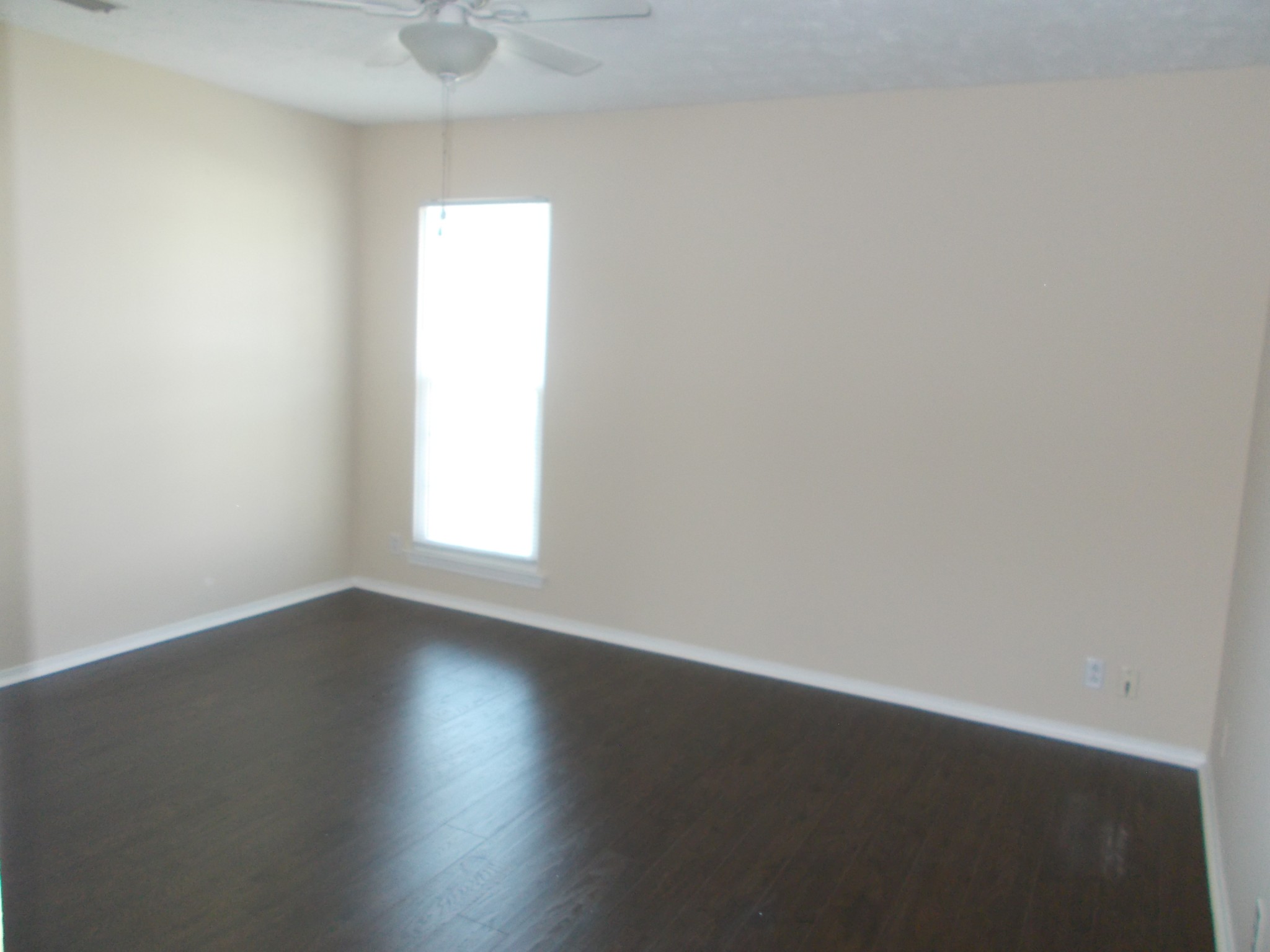 923 Rachels Pl Property Photo 5