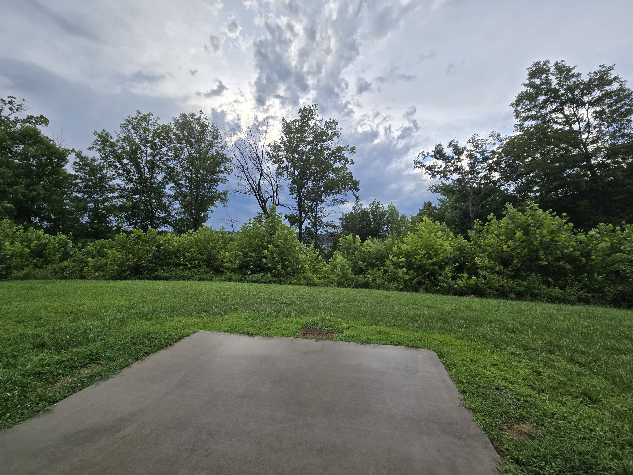 1176 Cottonwood Dr Property Photo 36
