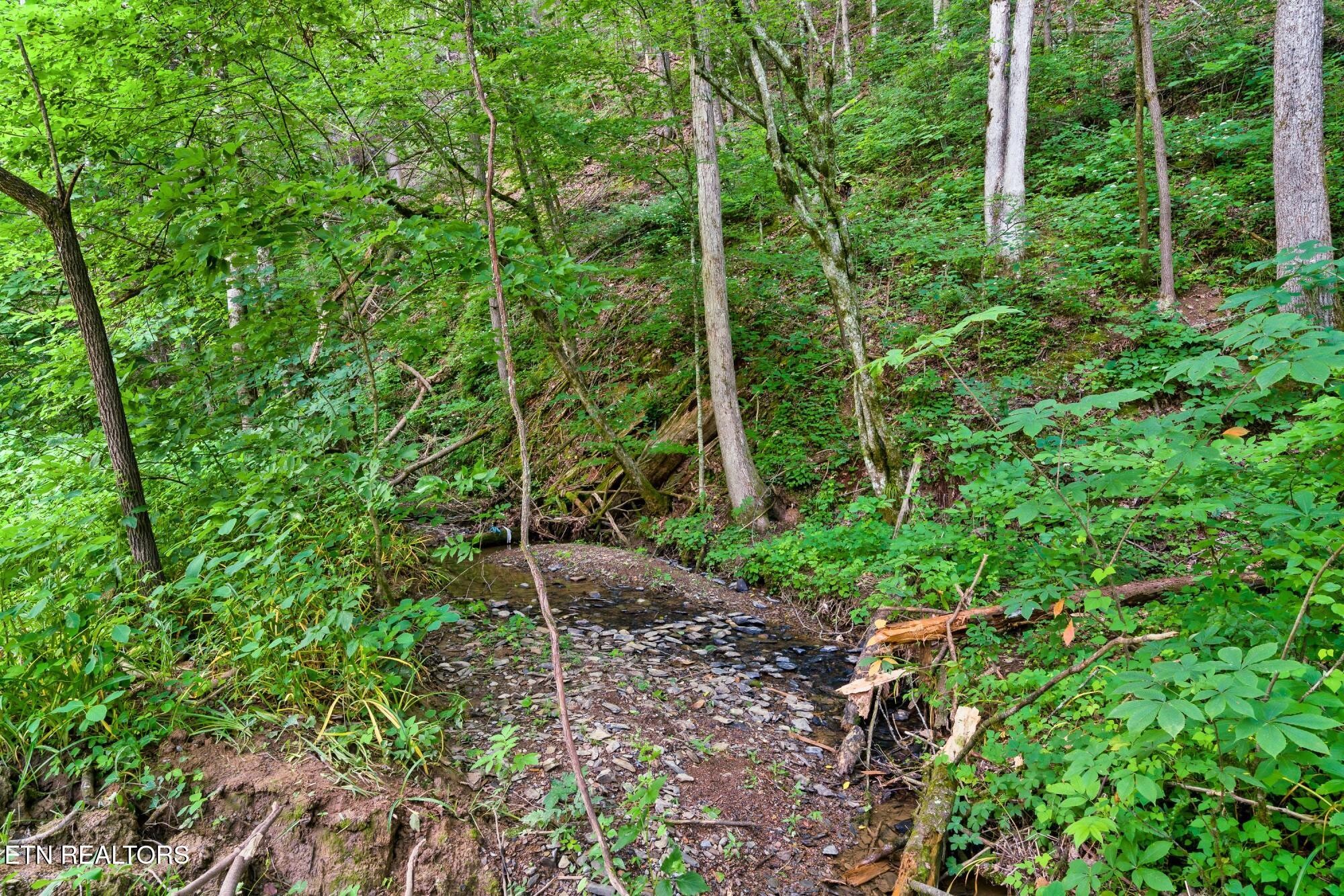3211 Old Mountain Rd Property Photo 5
