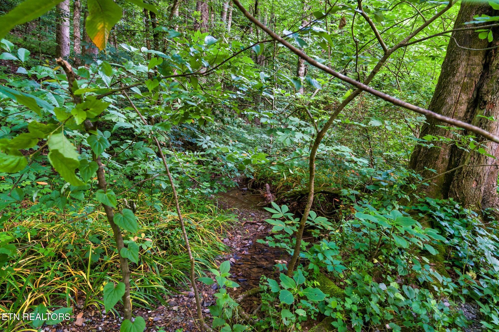 3211 Old Mountain Rd Property Photo 40