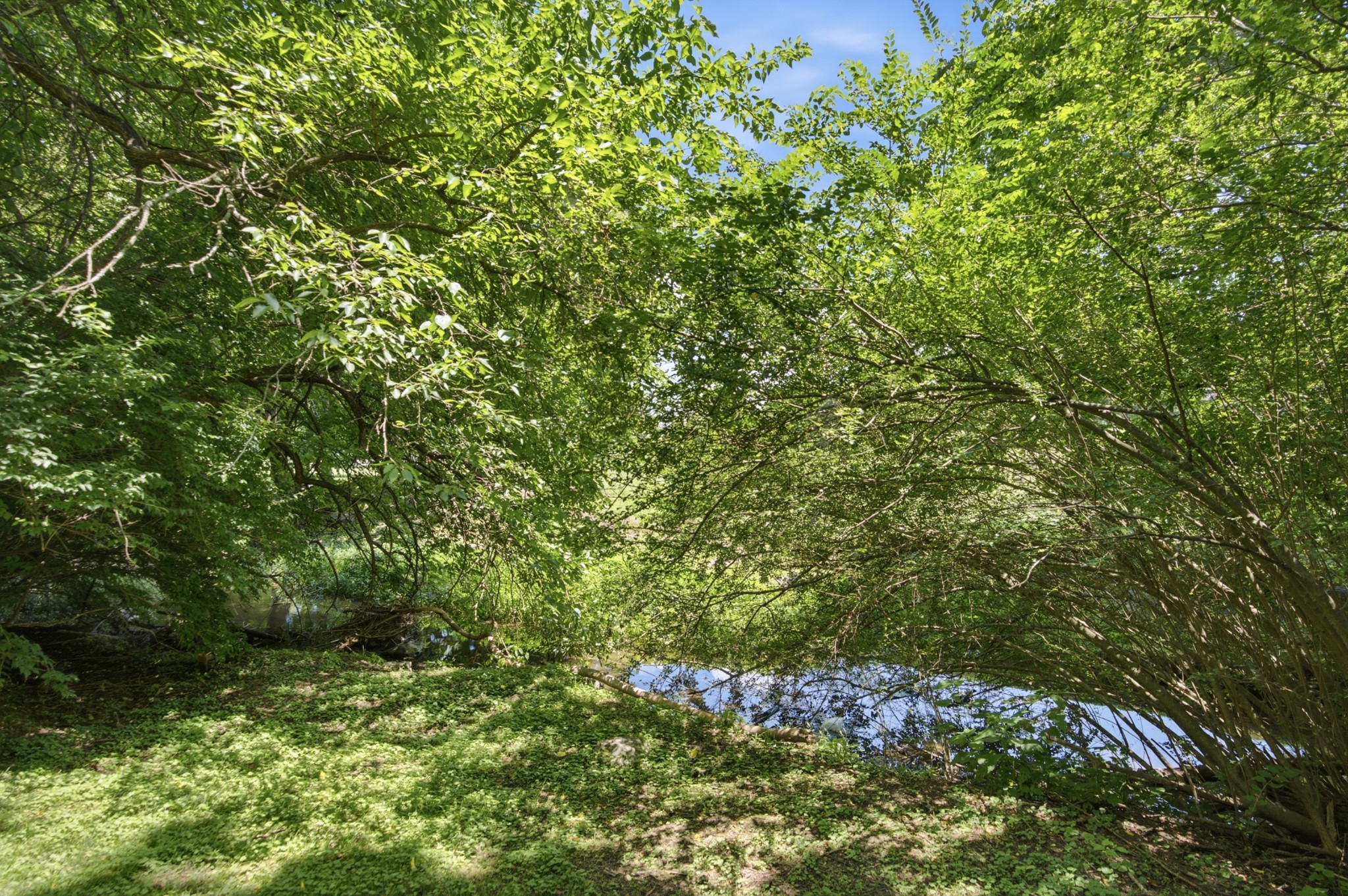 210 Stillcreek Dr Property Photo 57