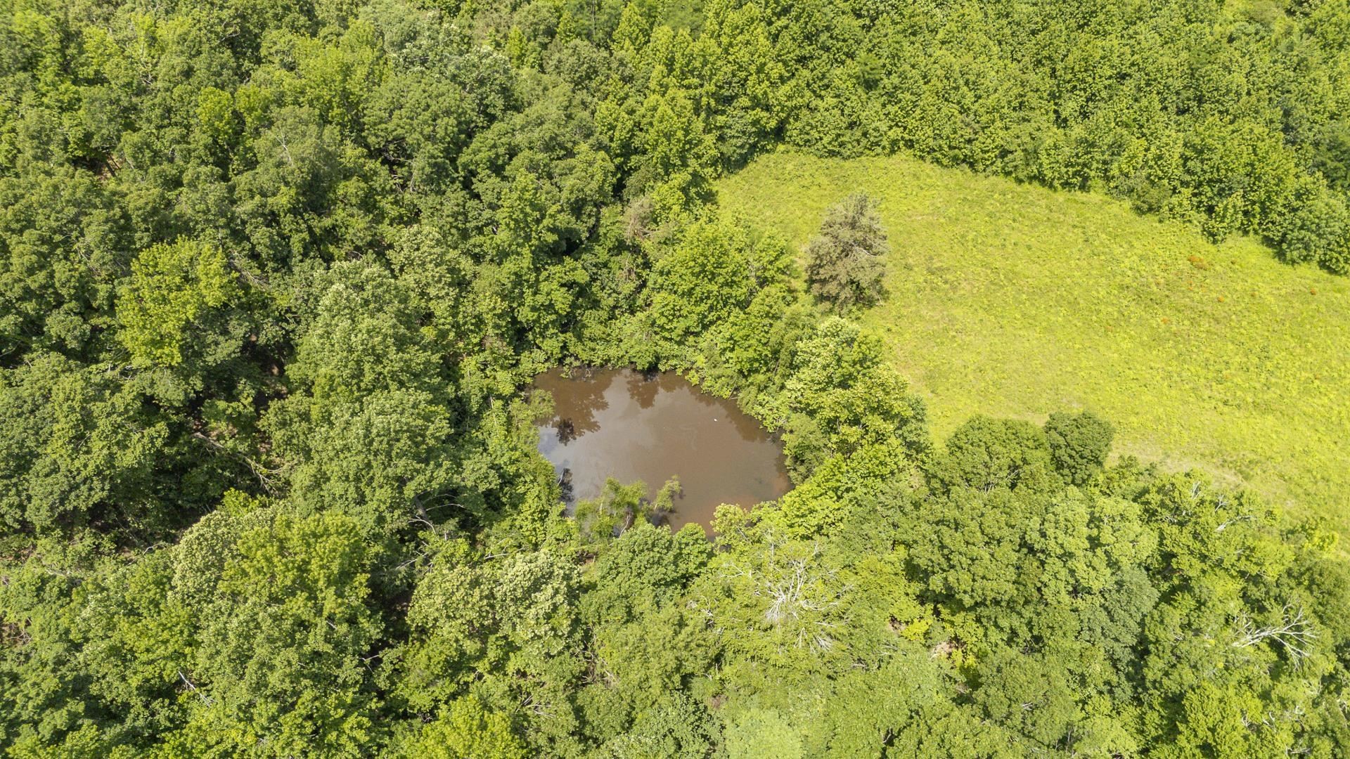 904 Capooth Rd Property Photo 6