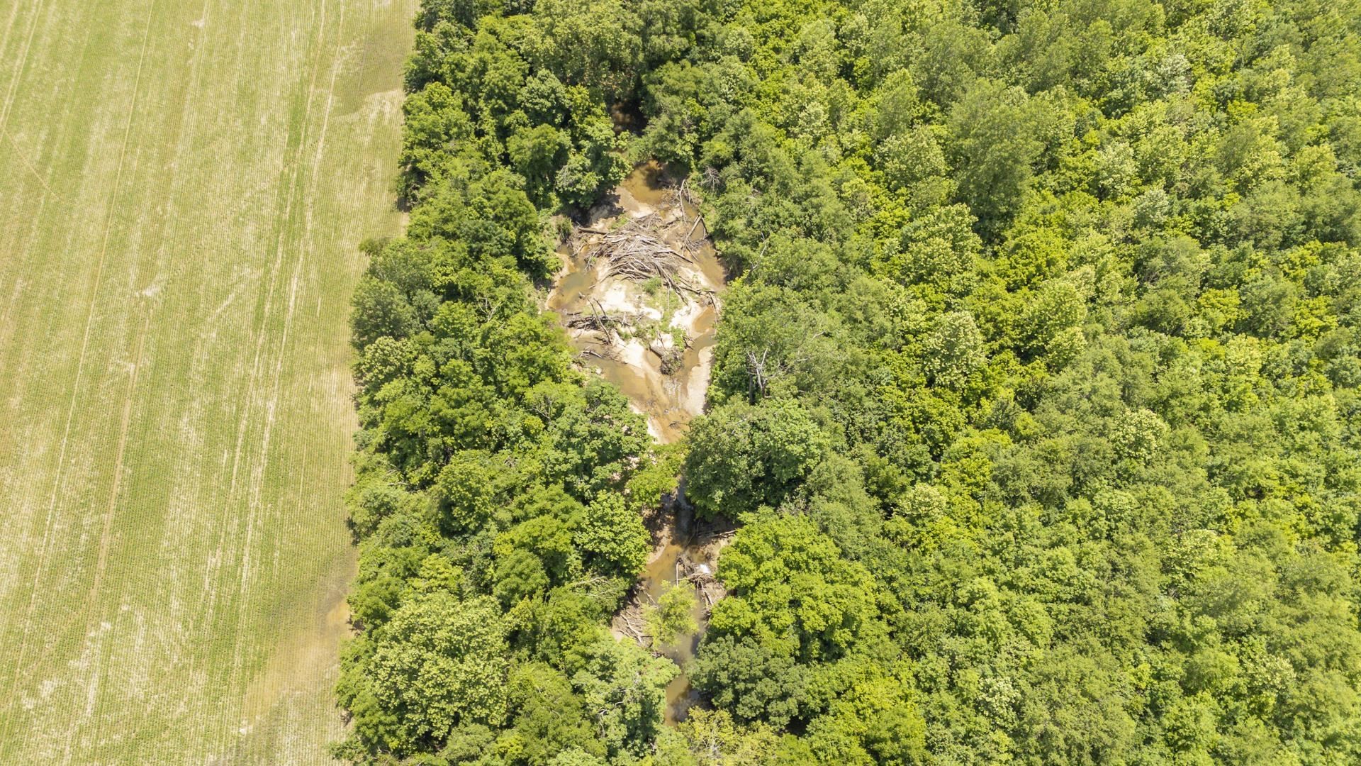 904 Capooth Rd Property Photo 7