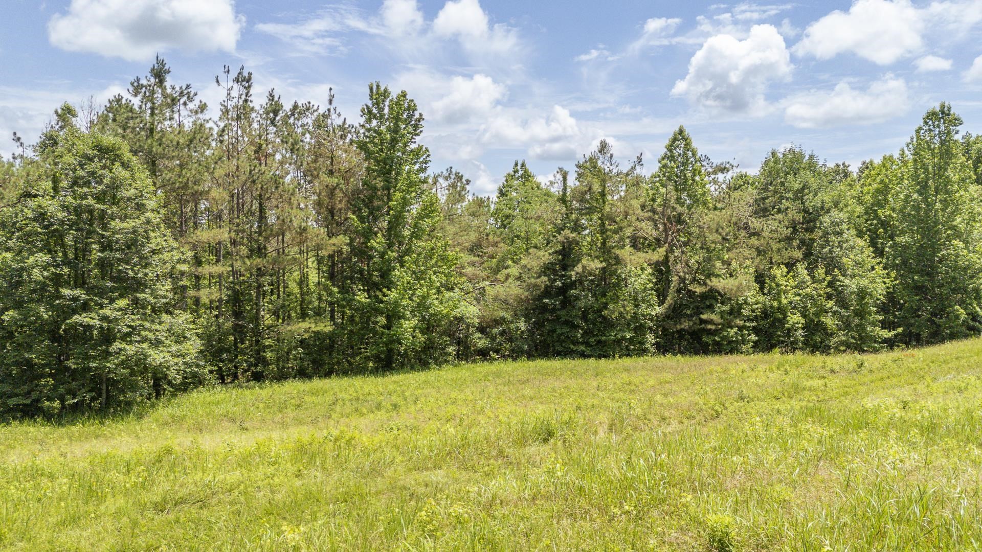 904 Capooth Rd Property Photo 28