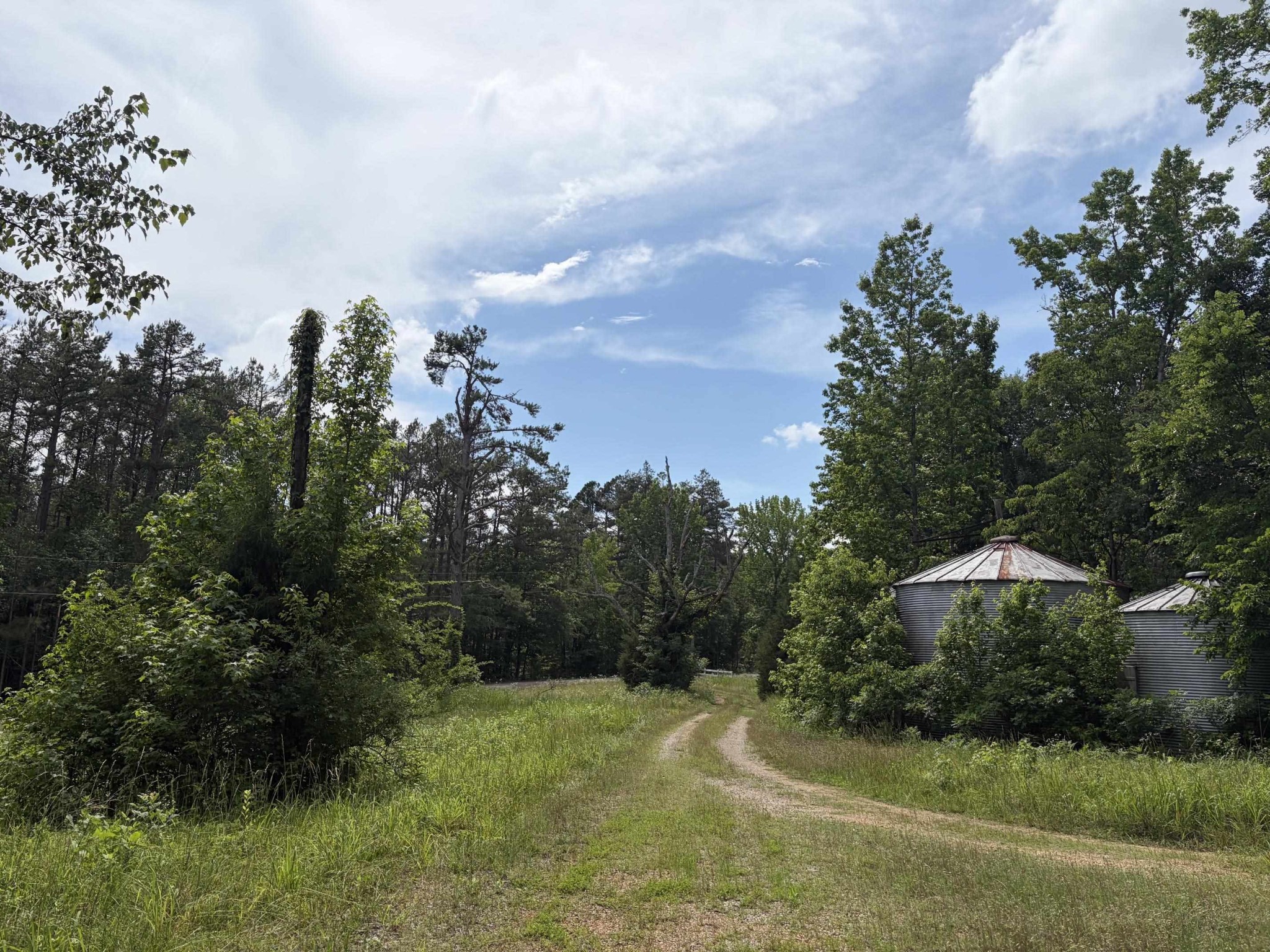 904 Capooth Rd Property Photo 34