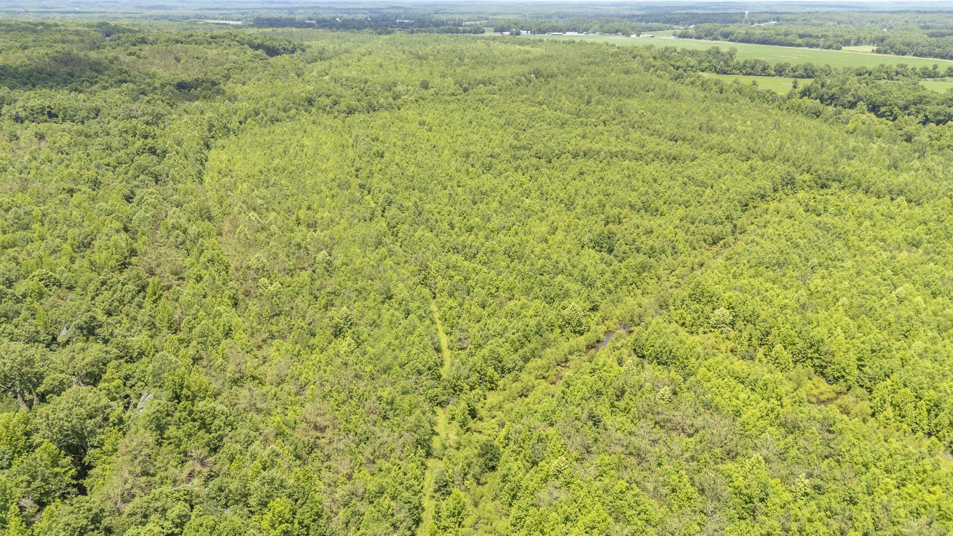 904 Capooth Rd Property Photo 36