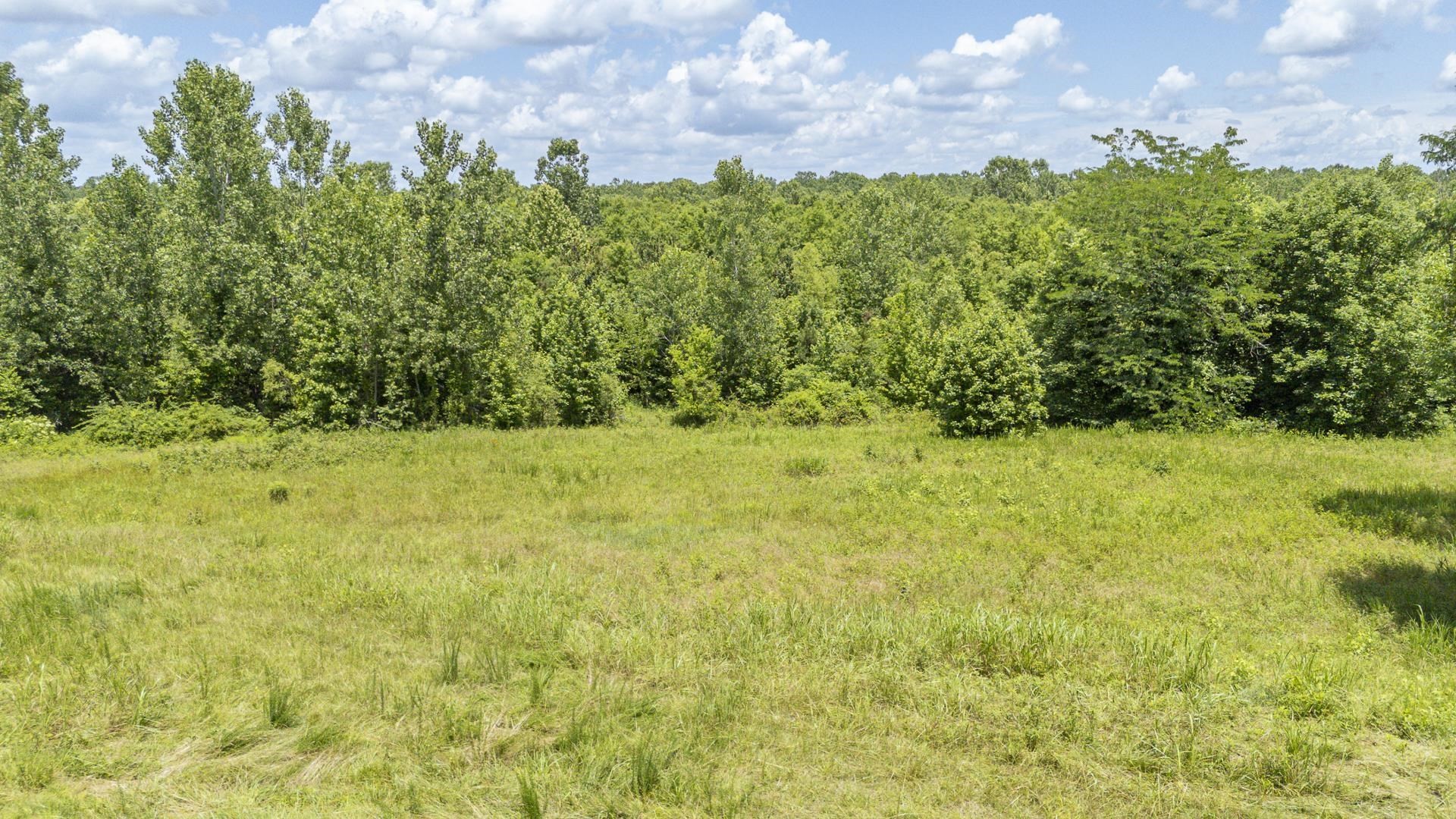 904 Capooth Rd Property Photo 38