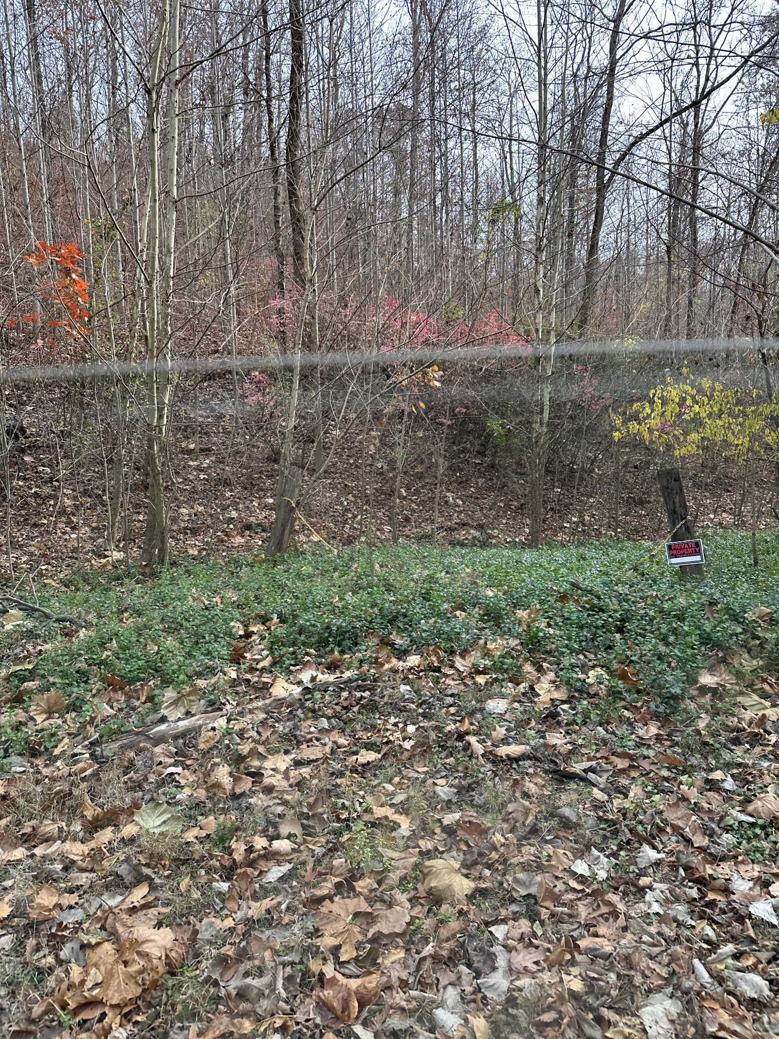 216 Happy Hollow Rd