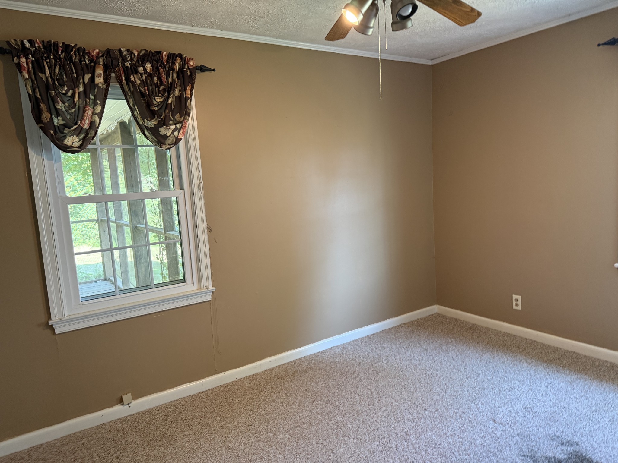 220 Kenneth St Property Photo 8
