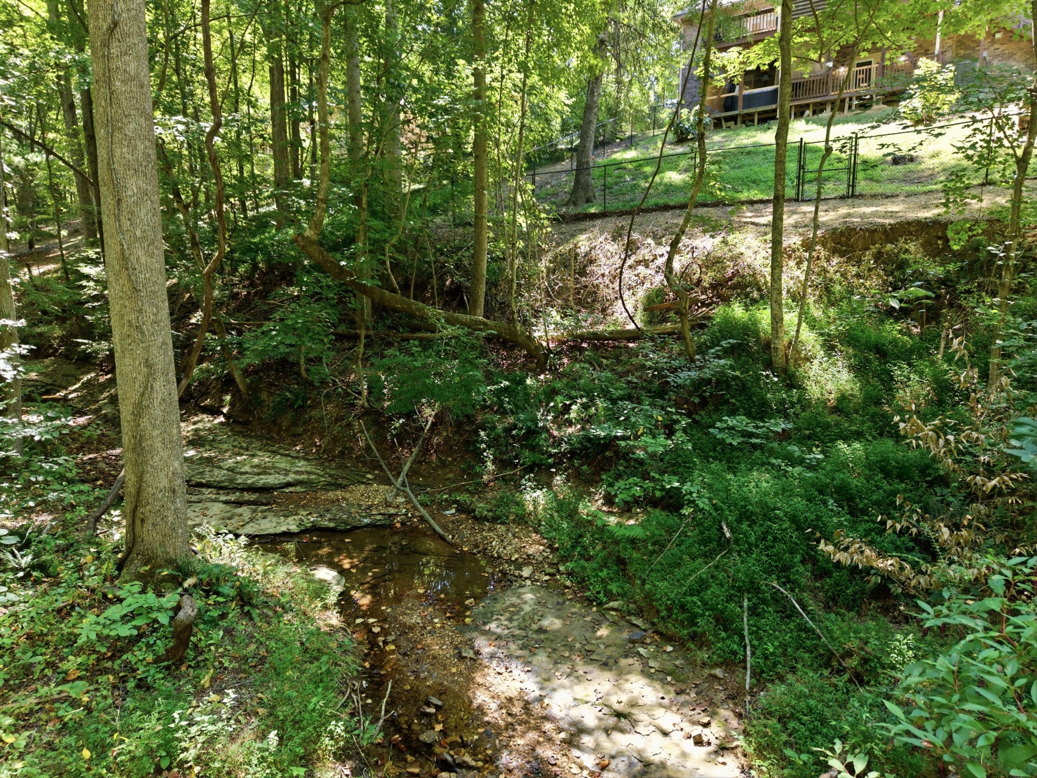1003 Red Oak Dr Property Photo 13