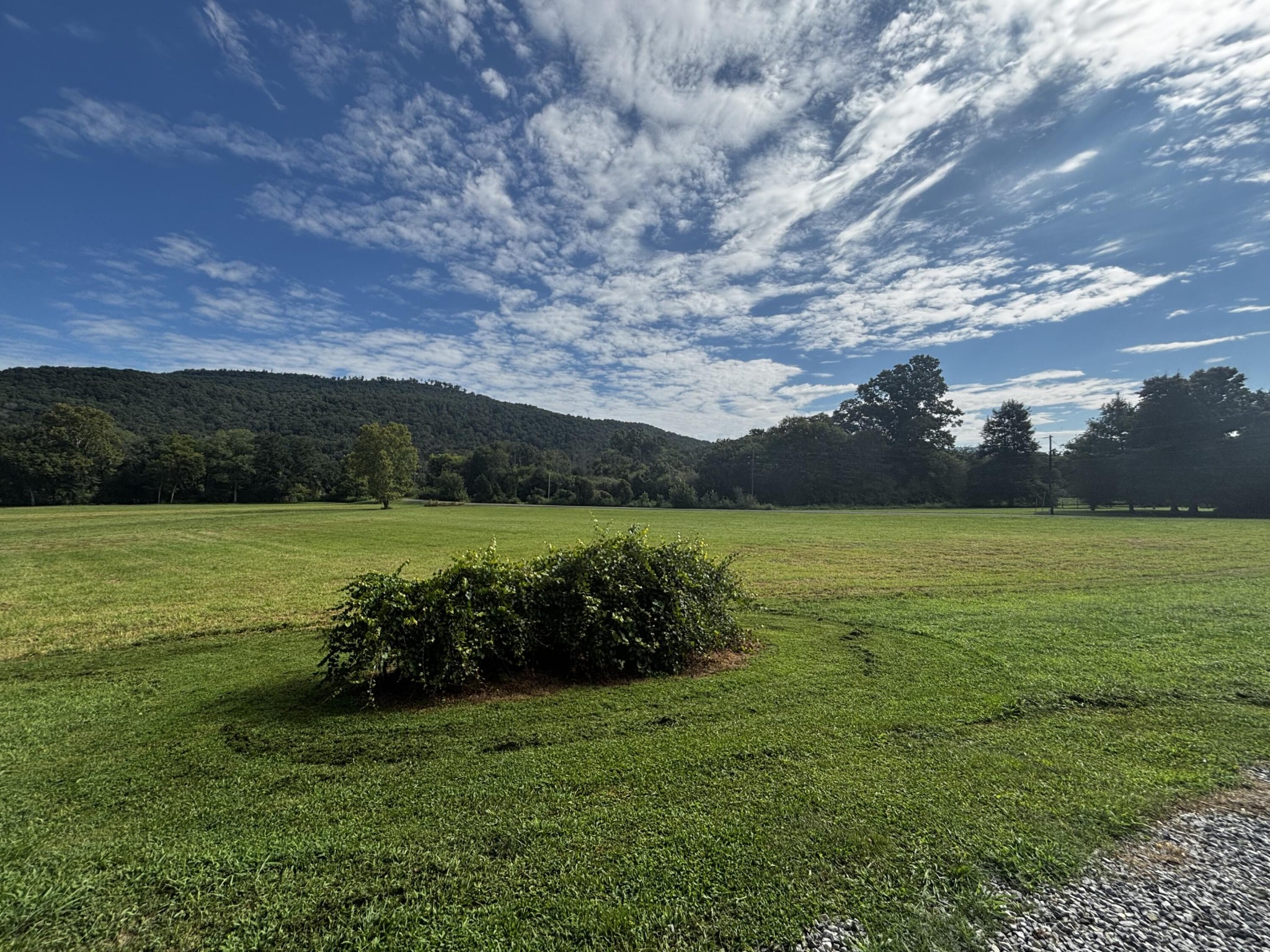 4915 Sweetens Cove Road Property Photo 17