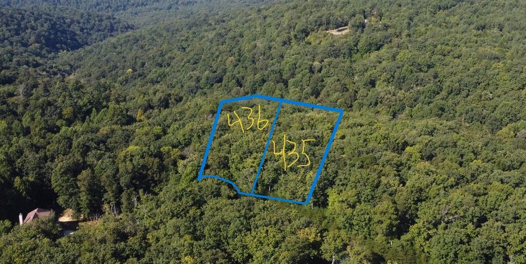 435 Ridge Wood Dr Property Photo 3