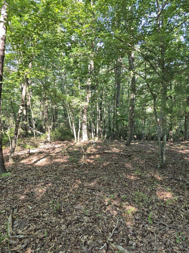 435 Ridge Wood Dr Property Photo 10