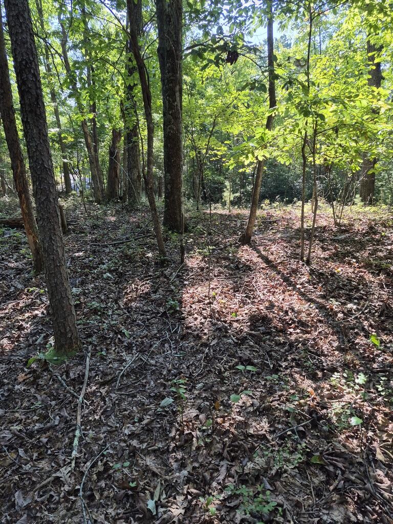 435 Ridge Wood Dr Property Photo 17