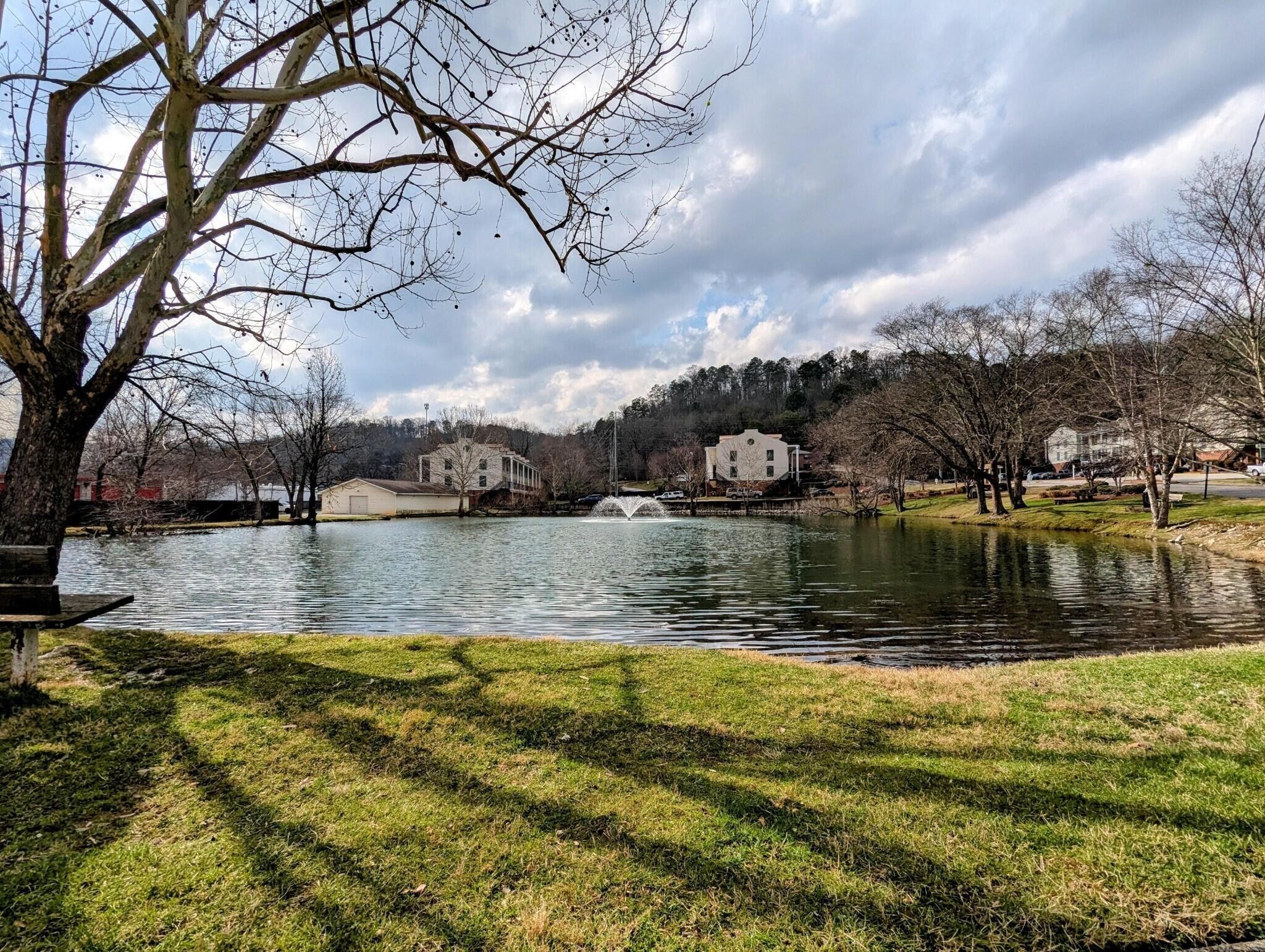 900 Mountain Creek Road Property Photo 14