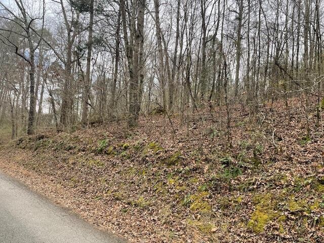 0 Wooten Lane Property Photo 3