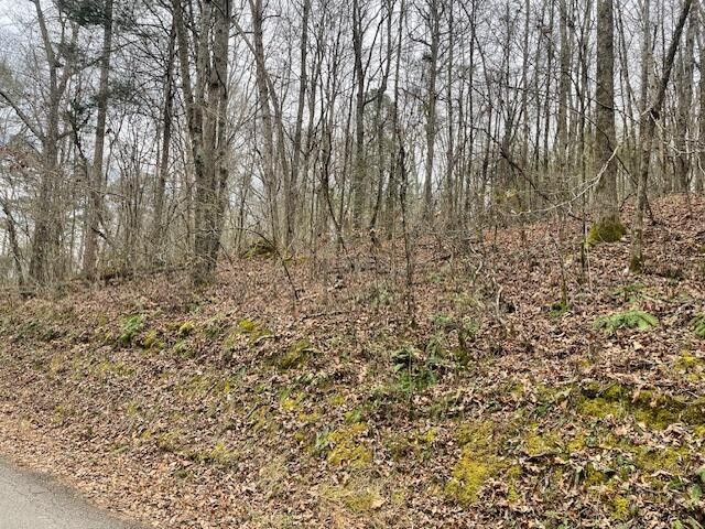 0 Wooten Lane Property Photo 4