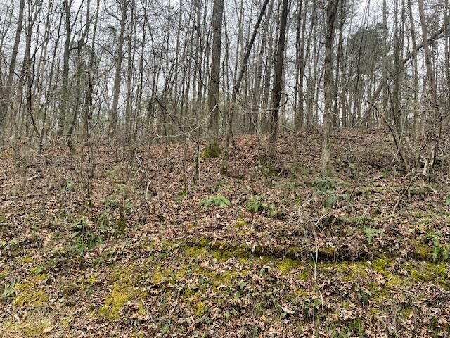 0 Wooten Lane Property Photo 5