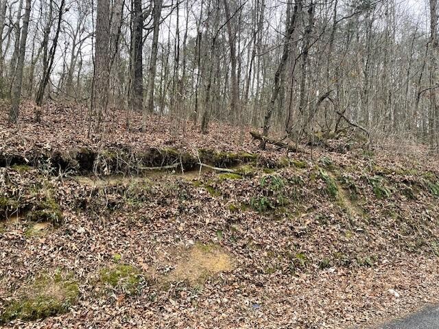 0 Wooten Lane Property Photo 6