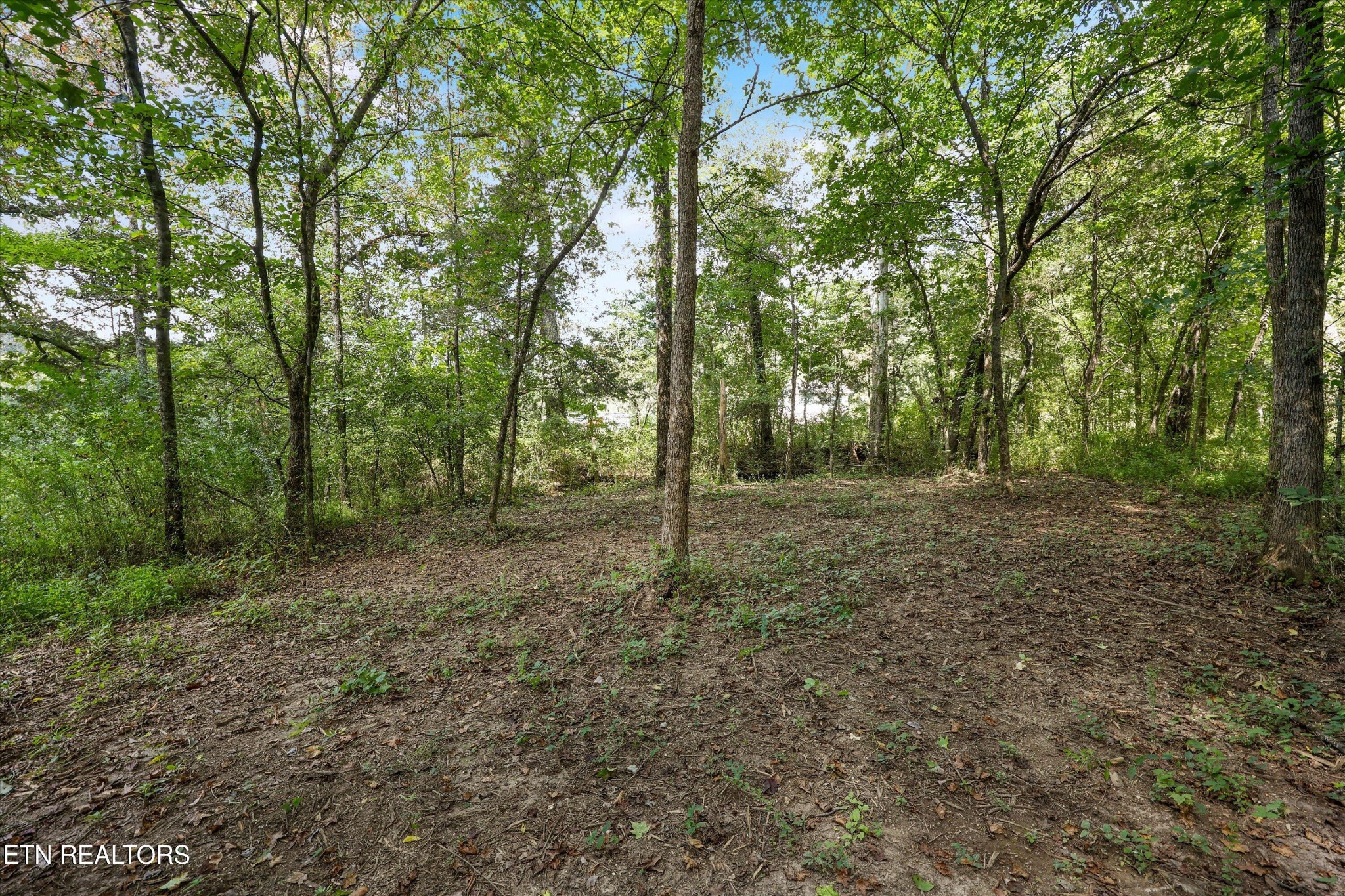 275 County Road 334 Property Photo 34