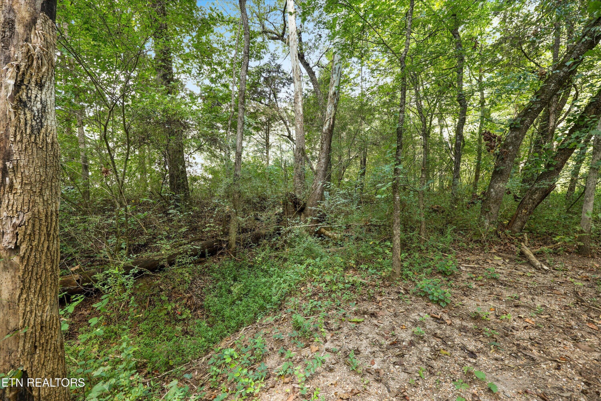 275 County Road 334 Property Photo 35