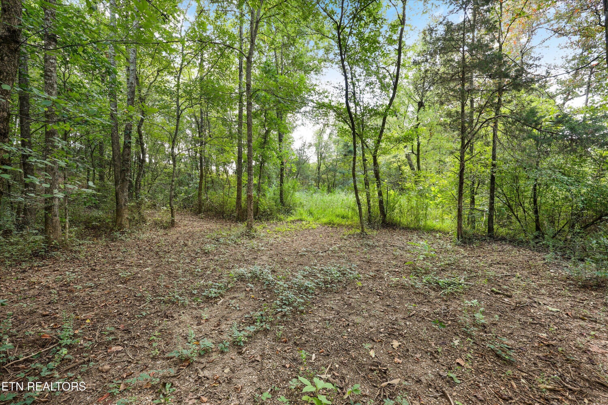 275 County Road 334 Property Photo 36
