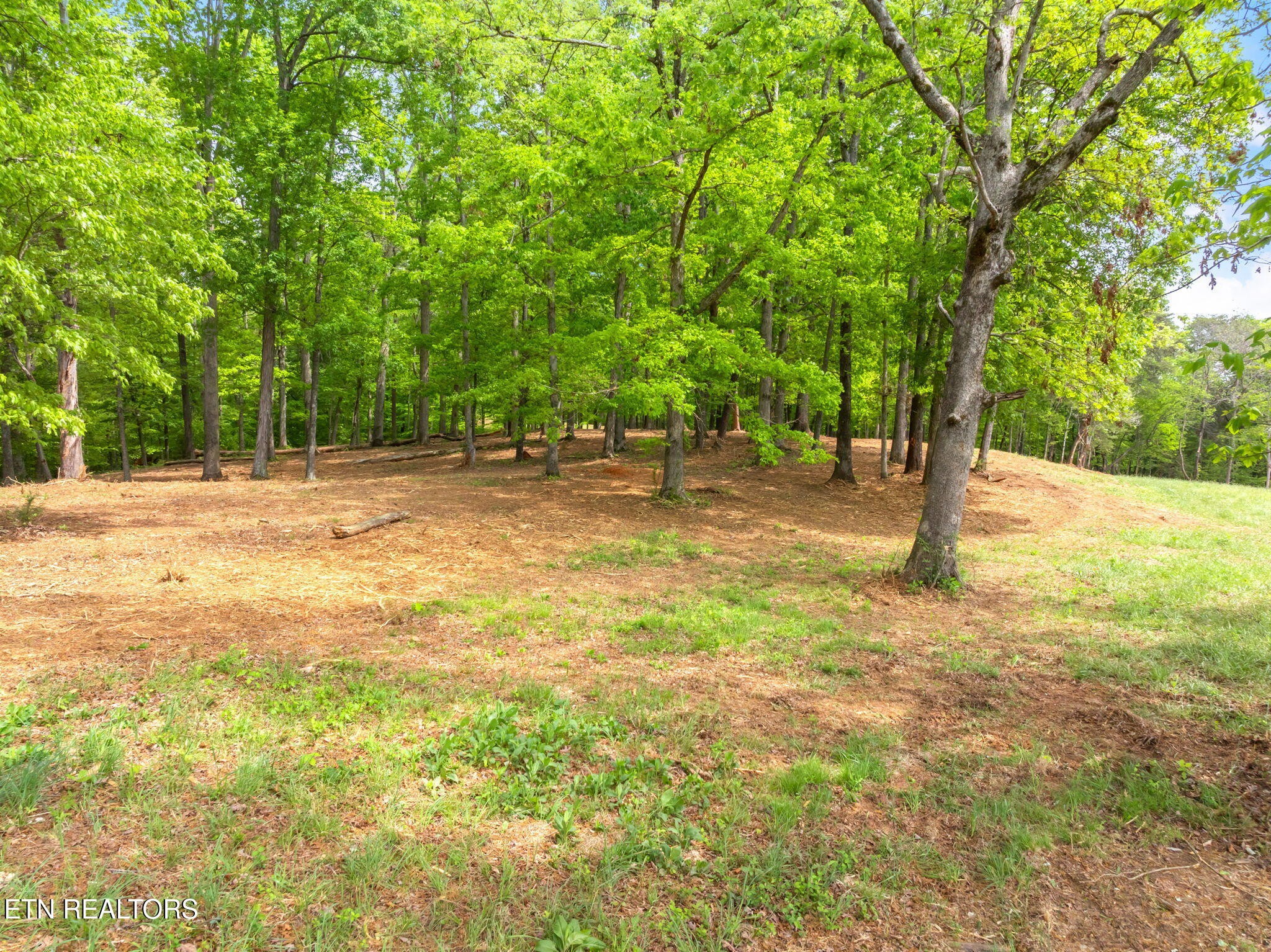 0 Highway 321 S Property Photo 8