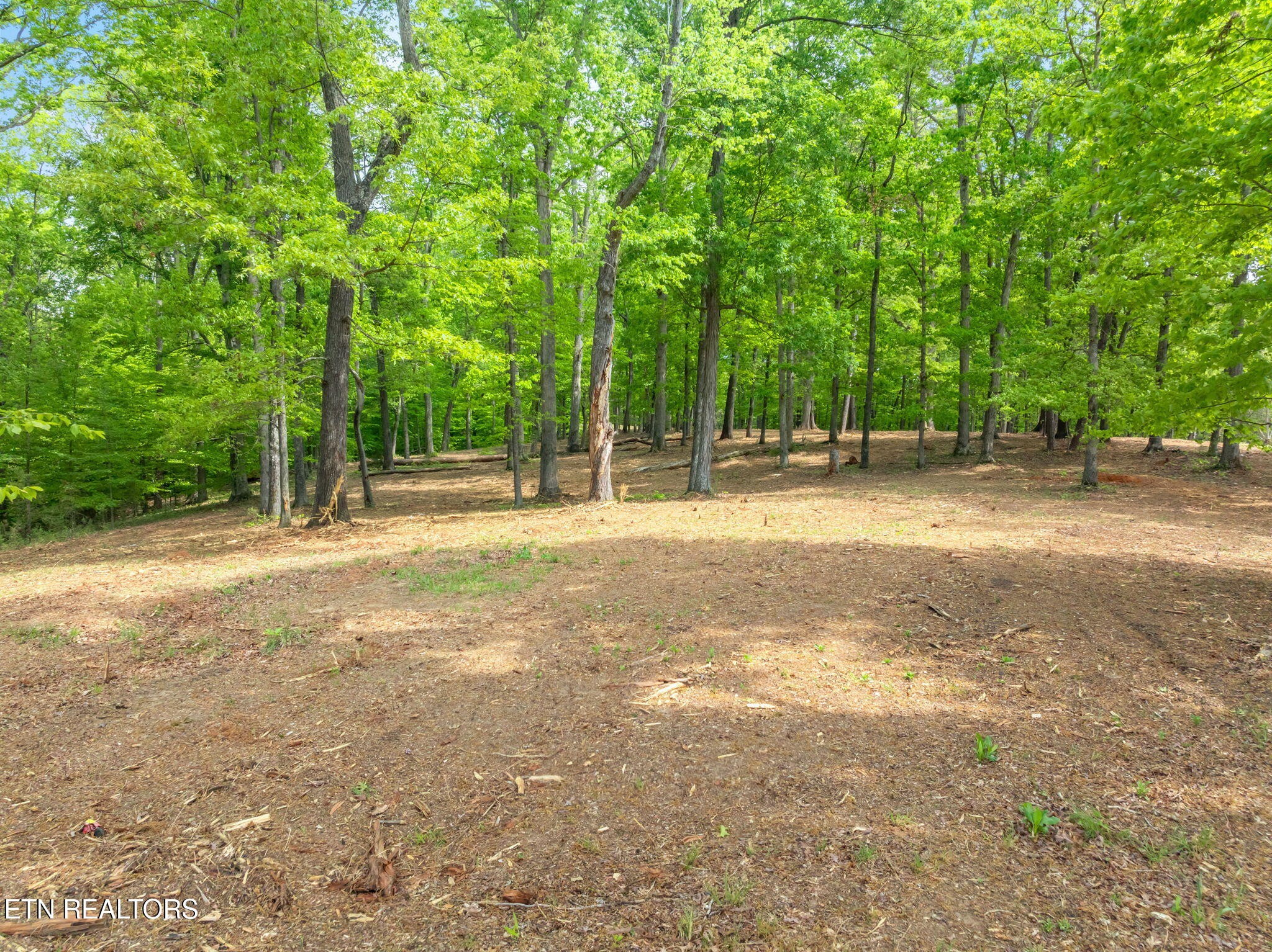 0 Highway 321 S Property Photo 29
