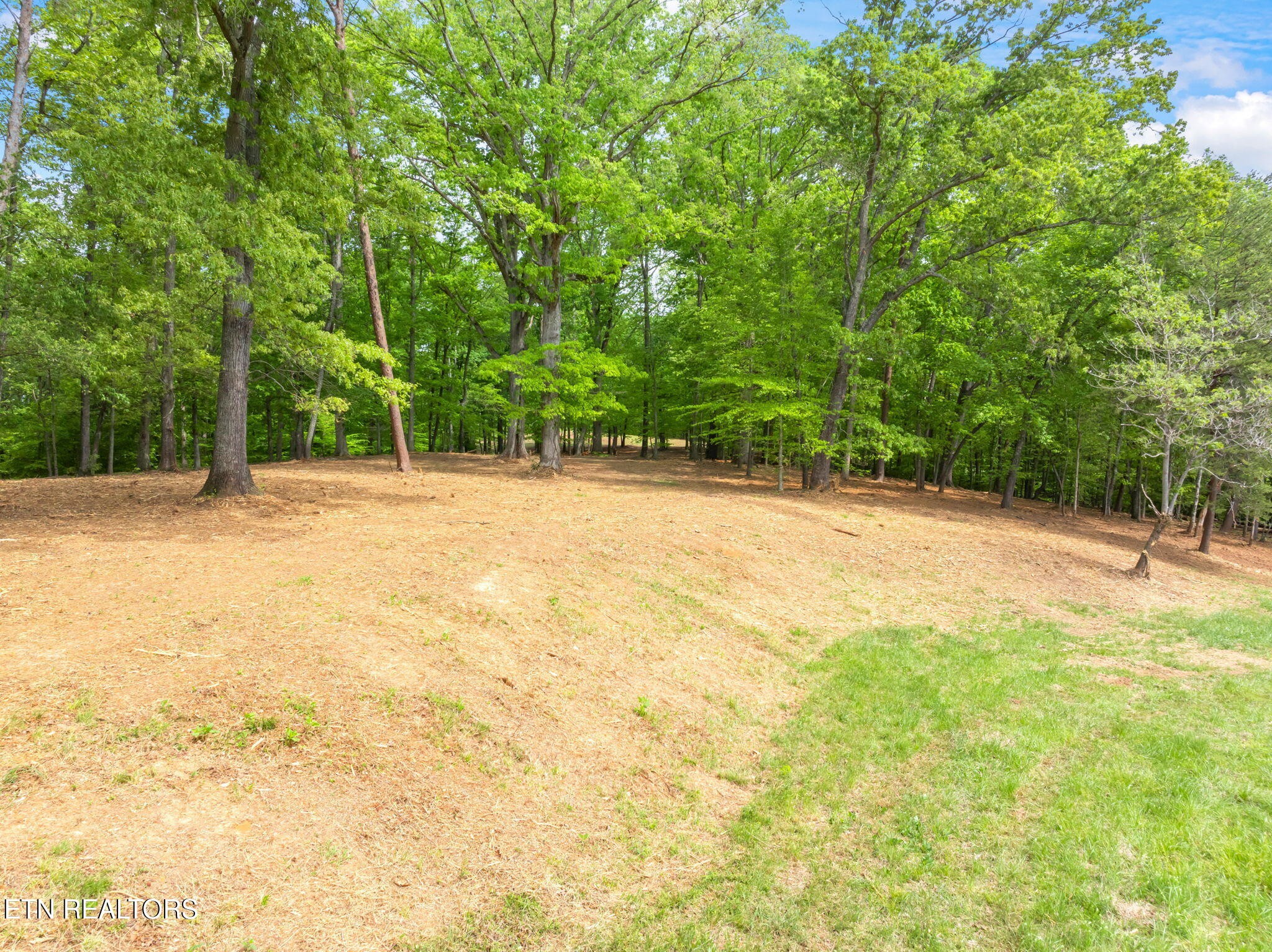 0 Highway 321 S Property Photo 30