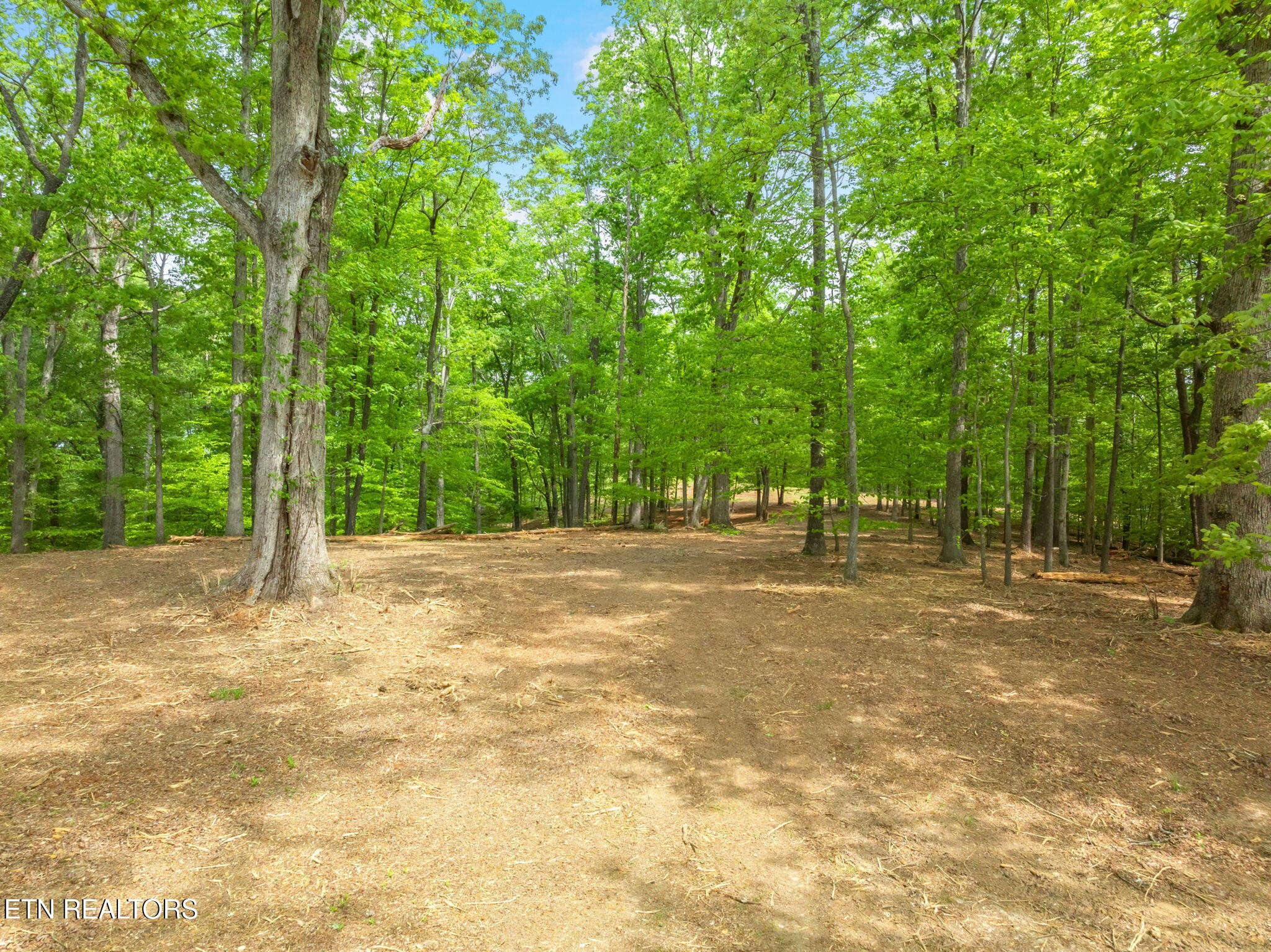 0 Highway 321 S Property Photo 31