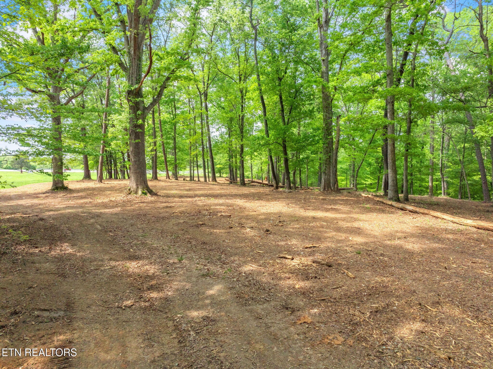 0 Highway 321 S Property Photo 32