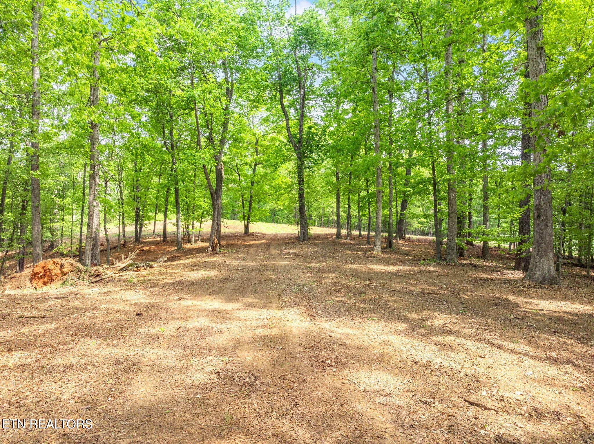 0 Highway 321 S Property Photo 33