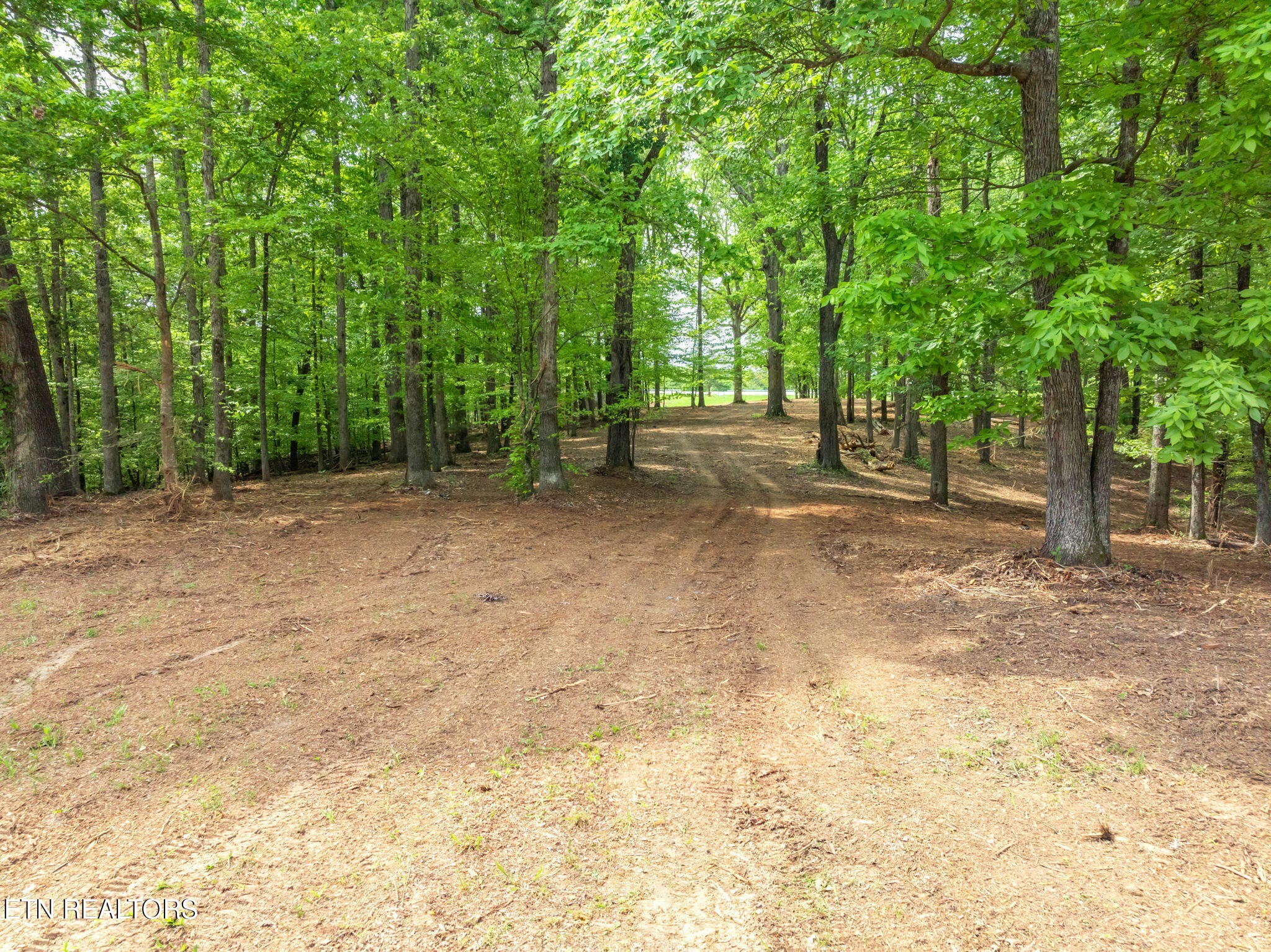 0 Highway 321 S Property Photo 35