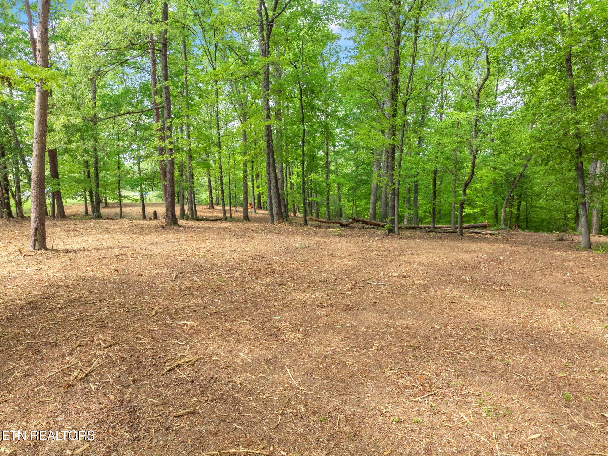 0 Highway 321 S Property Photo 38
