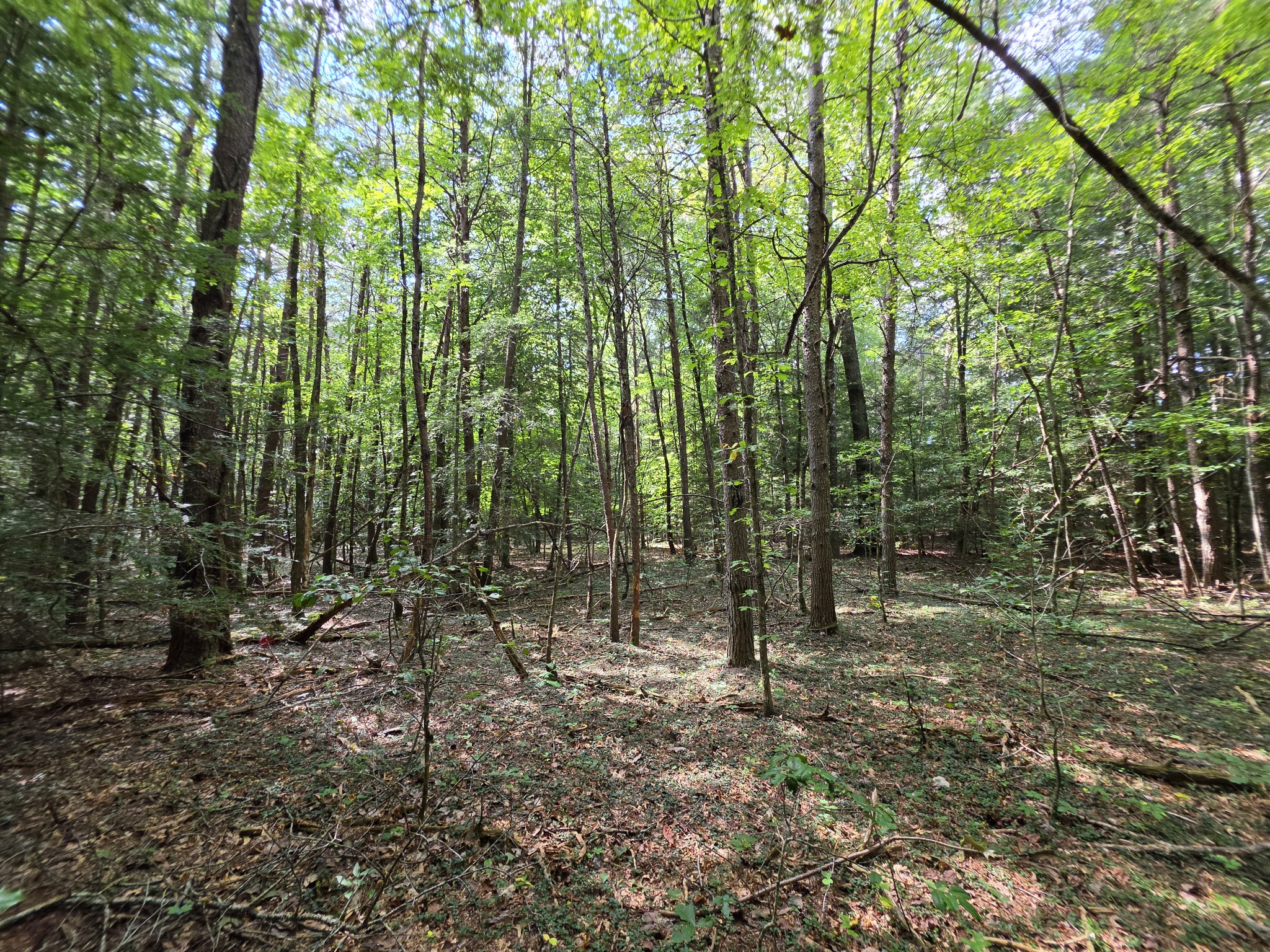 0 Northcutts Cove Road Property Photo 1