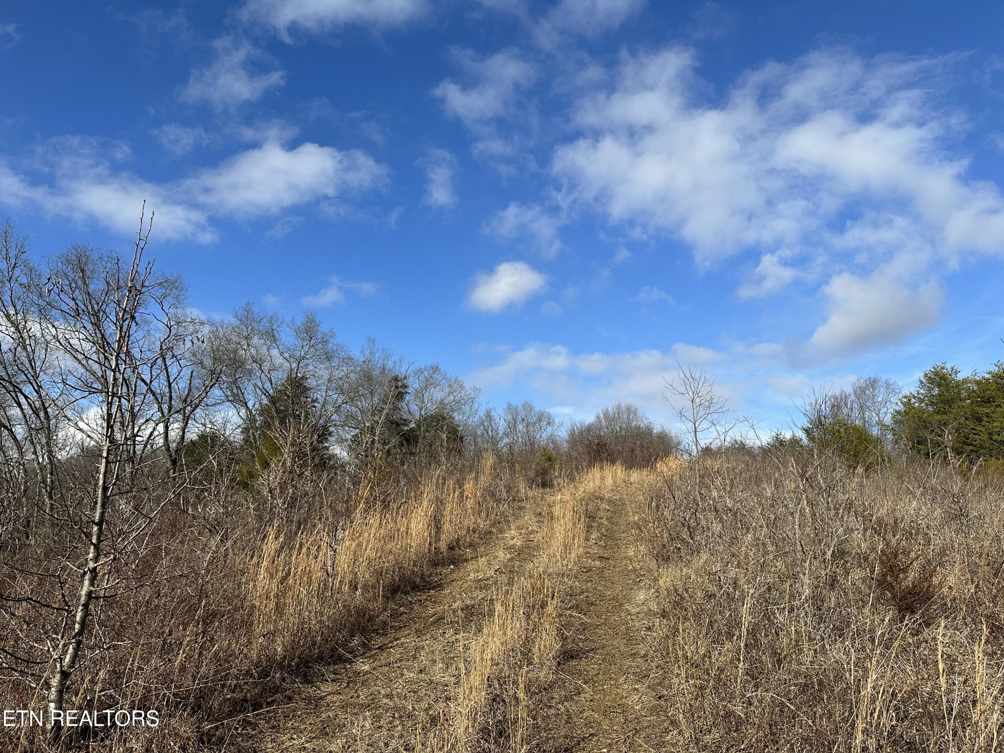 0 Leatherwood Rd Property Photo 2