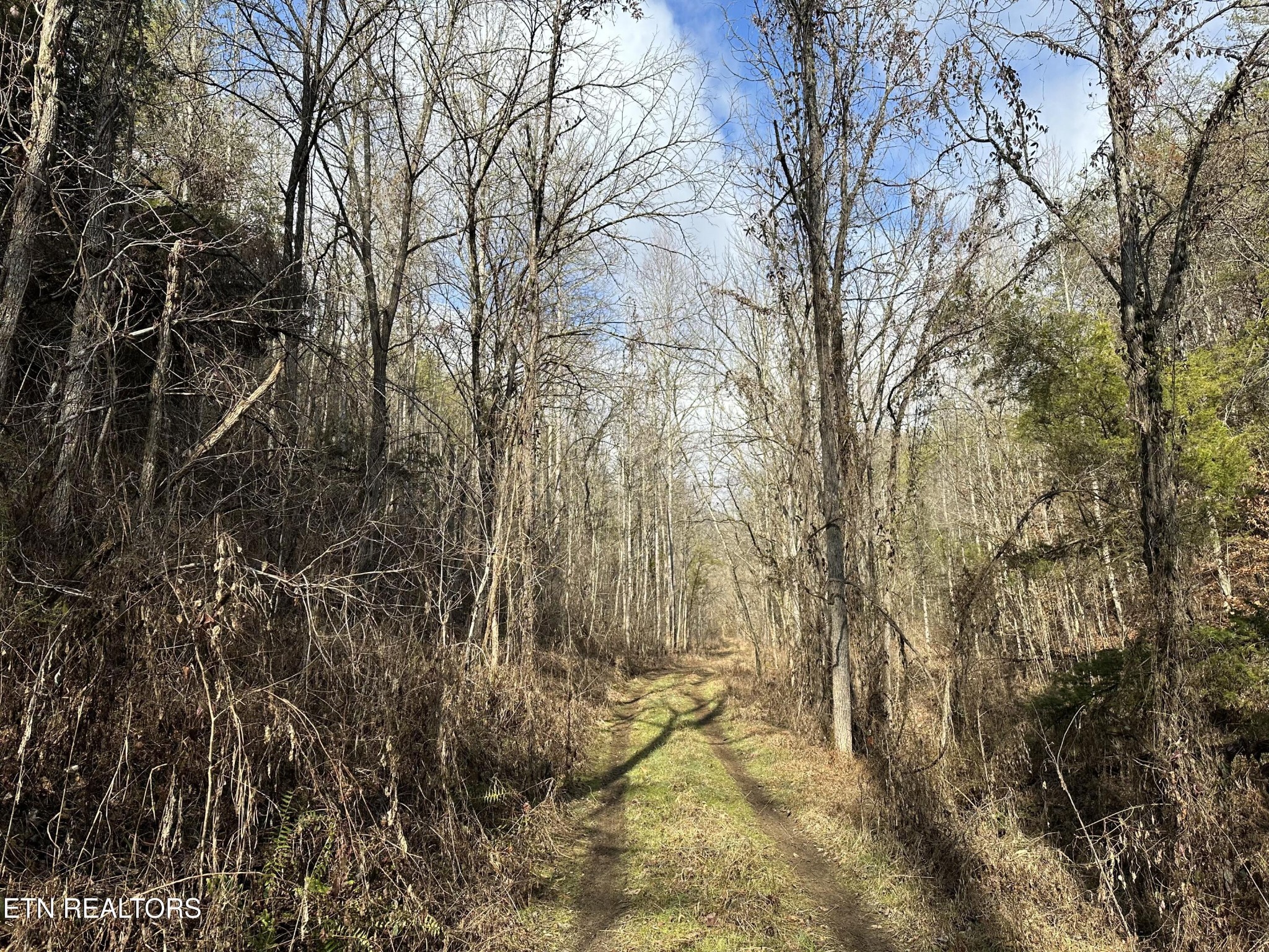 0 Leatherwood Rd Property Photo 3