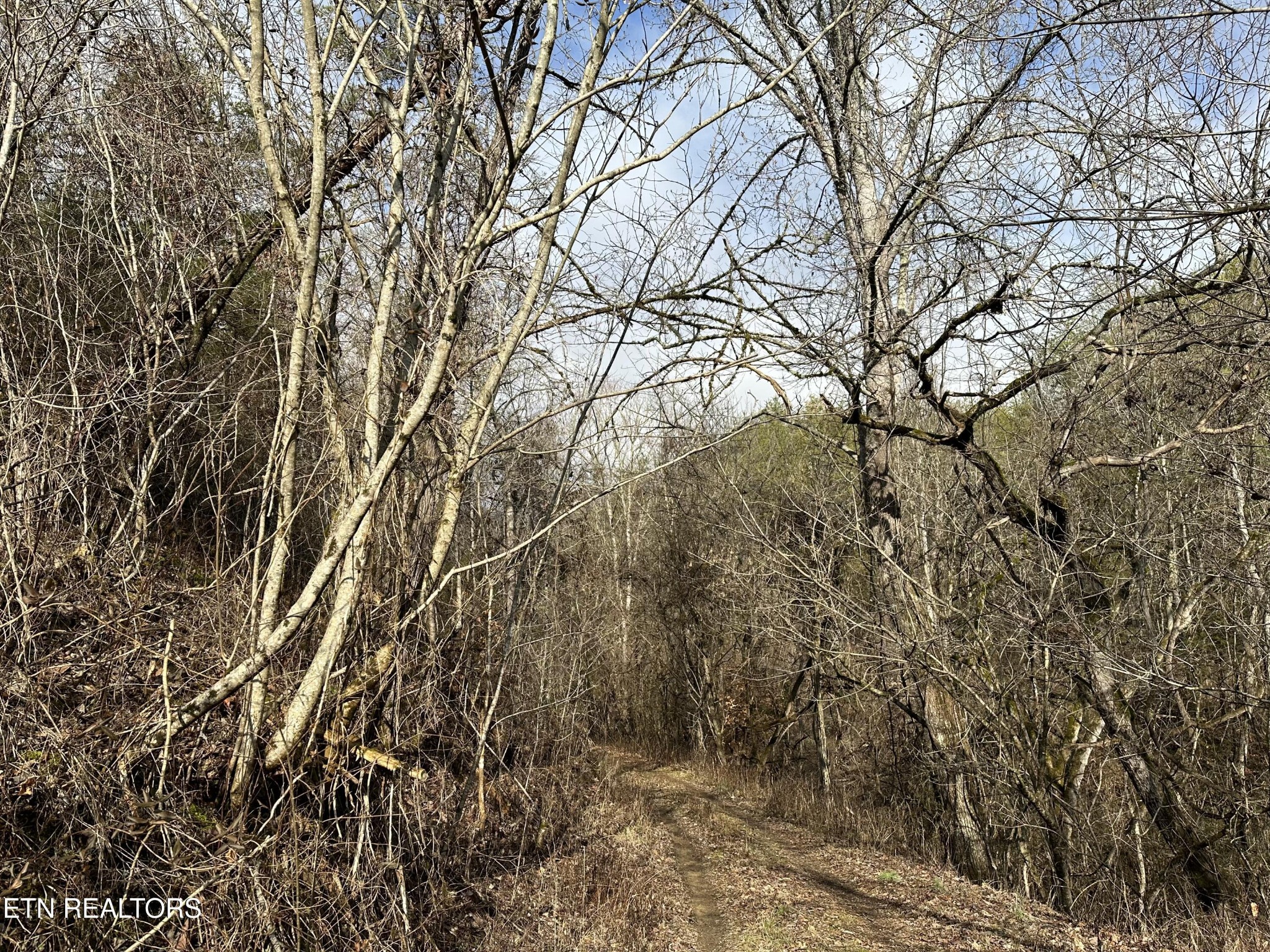 0 Leatherwood Rd Property Photo 9