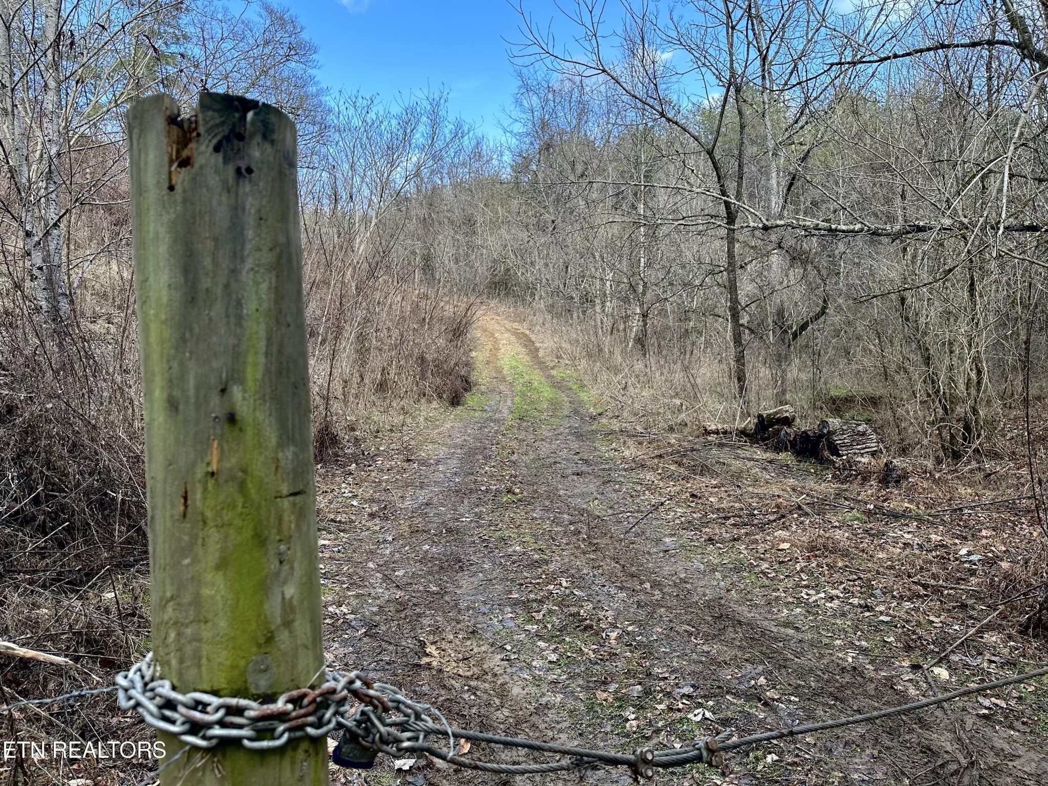 0 Leatherwood Rd Property Photo 10